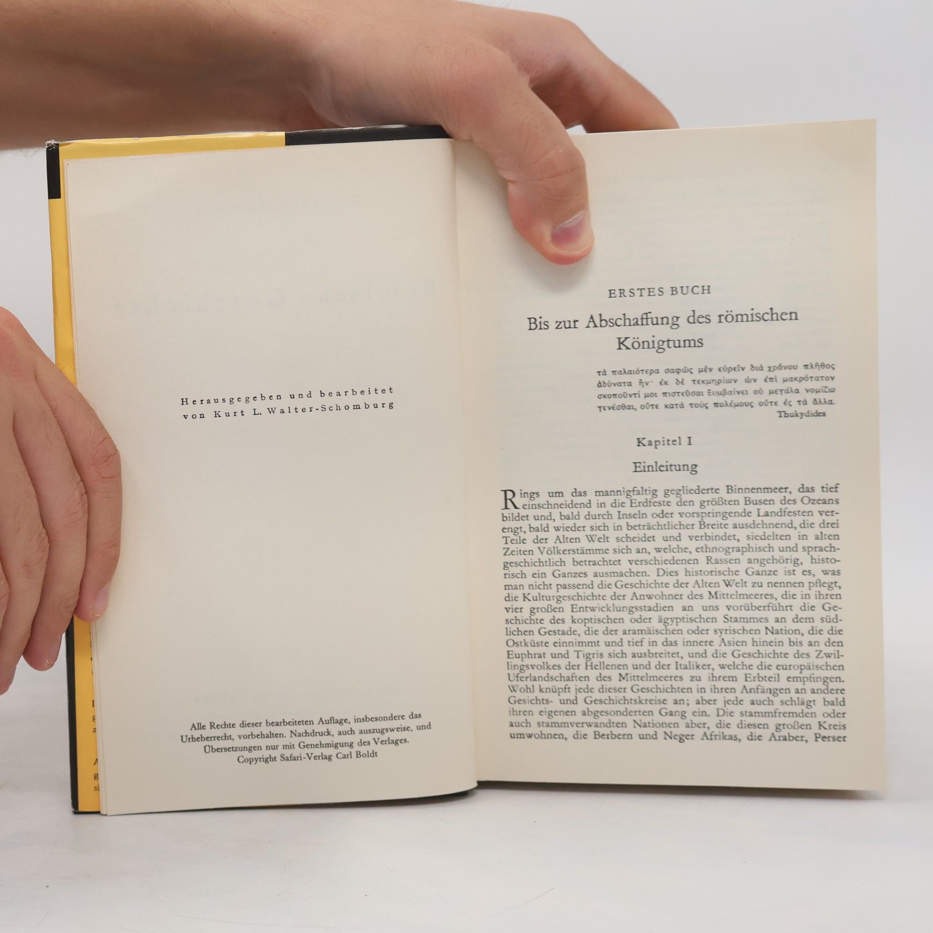 Theodor Mommsen Römische Geschichte