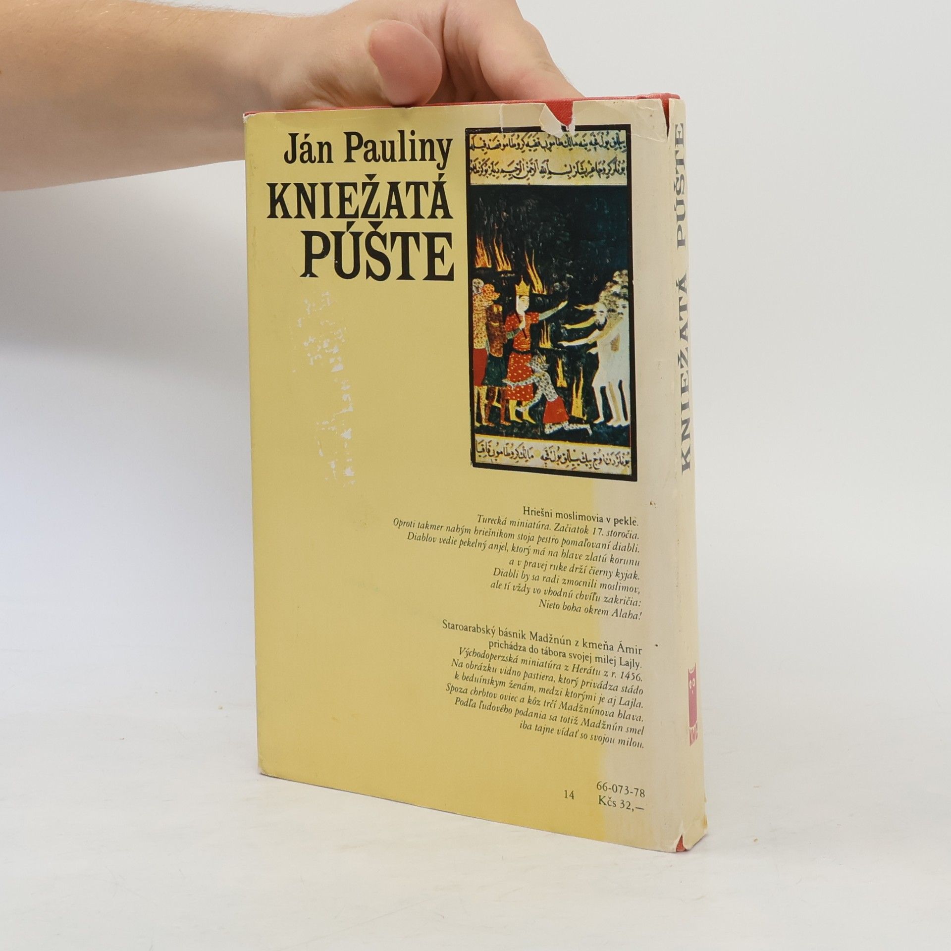 Ján Pauliny Kniežatá púšte