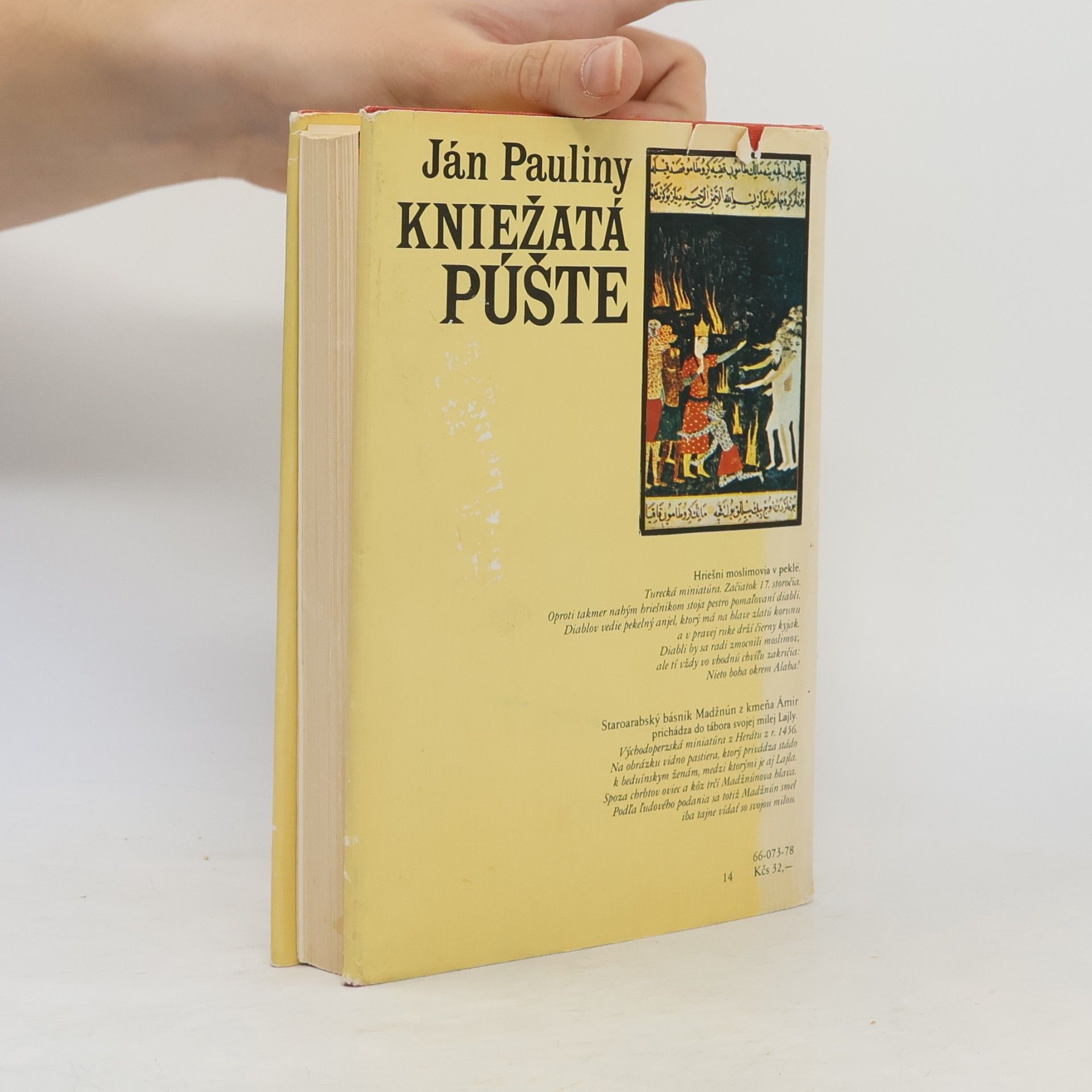 Ján Pauliny Kniežatá púšte
