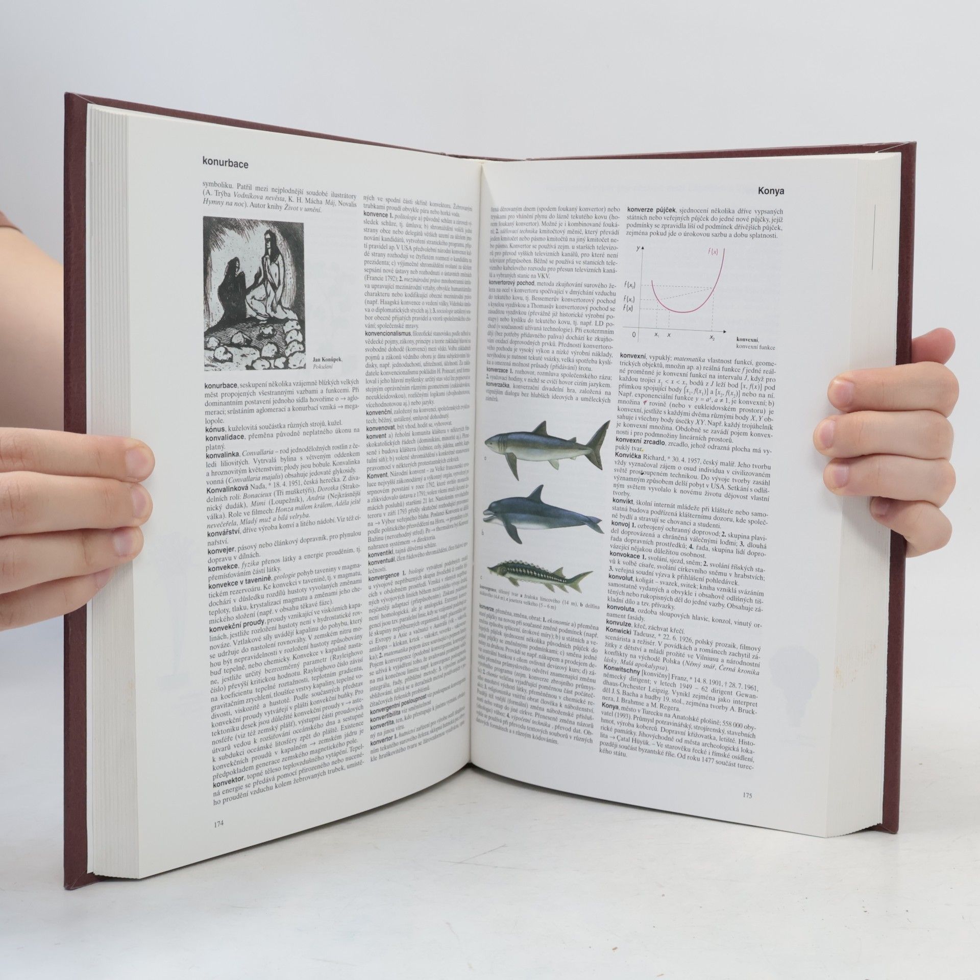 Autorenkollektiv Všeobecná encyklopedie v osmi svazcích. 4. díl, k-l