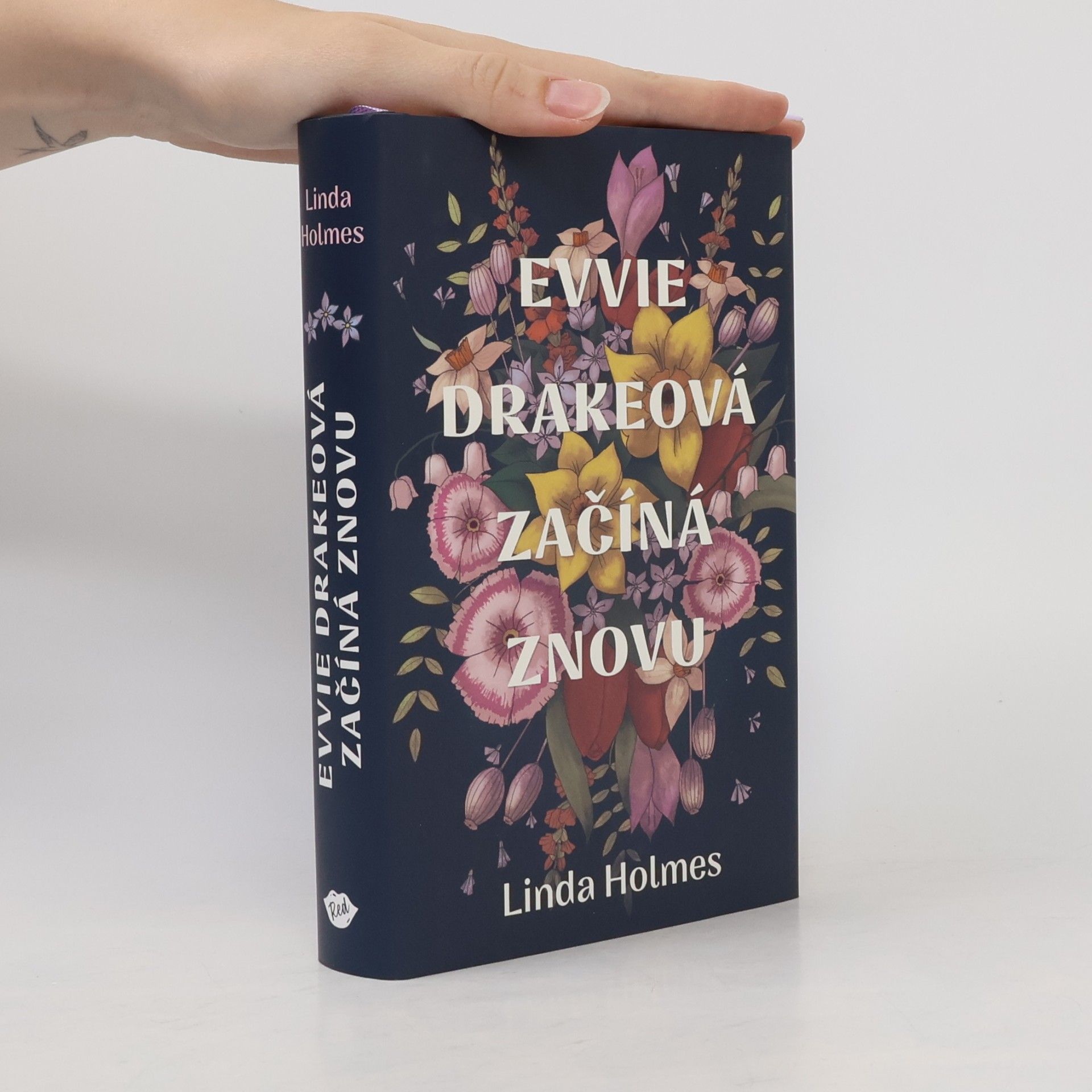 Linda Holmes Evvie Drakeová začíná znovu