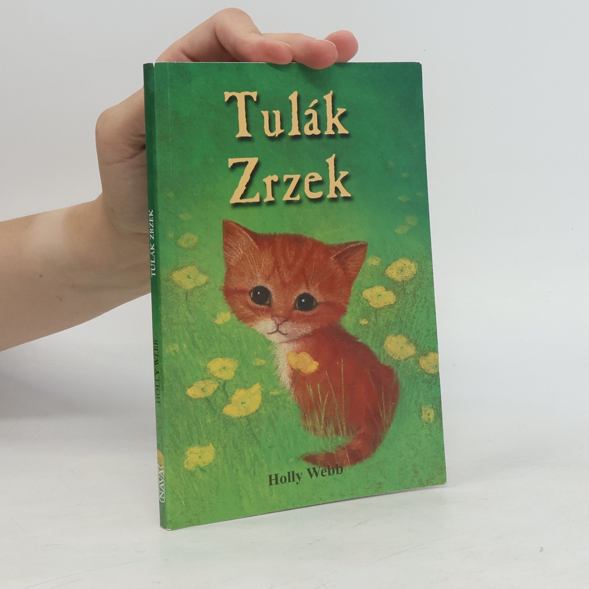 Holly Webb Tulák Zrzek