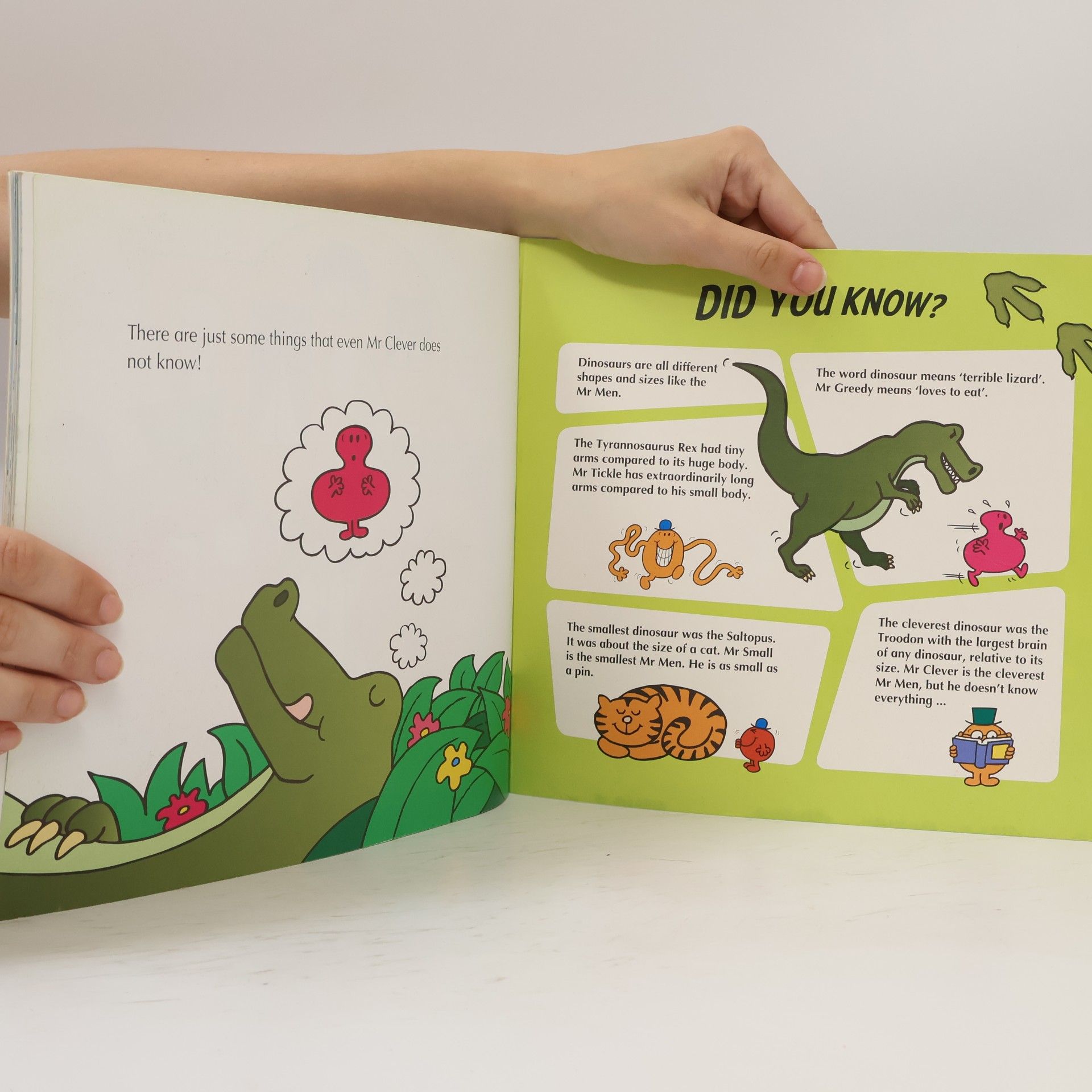 Roger Hargreaves Mr Men - Adventure with Dinosaurs