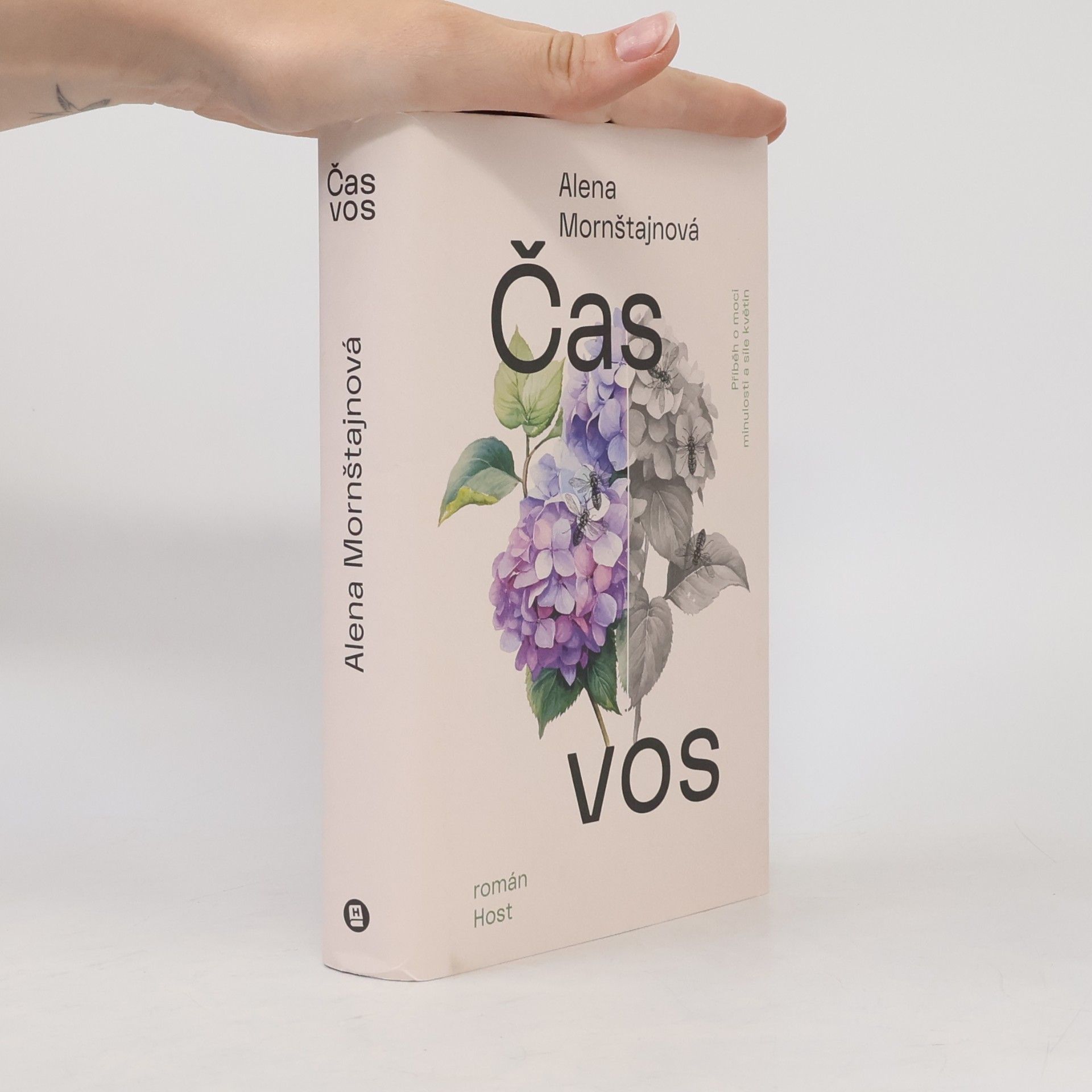 Alena Mornštajnová Čas vos