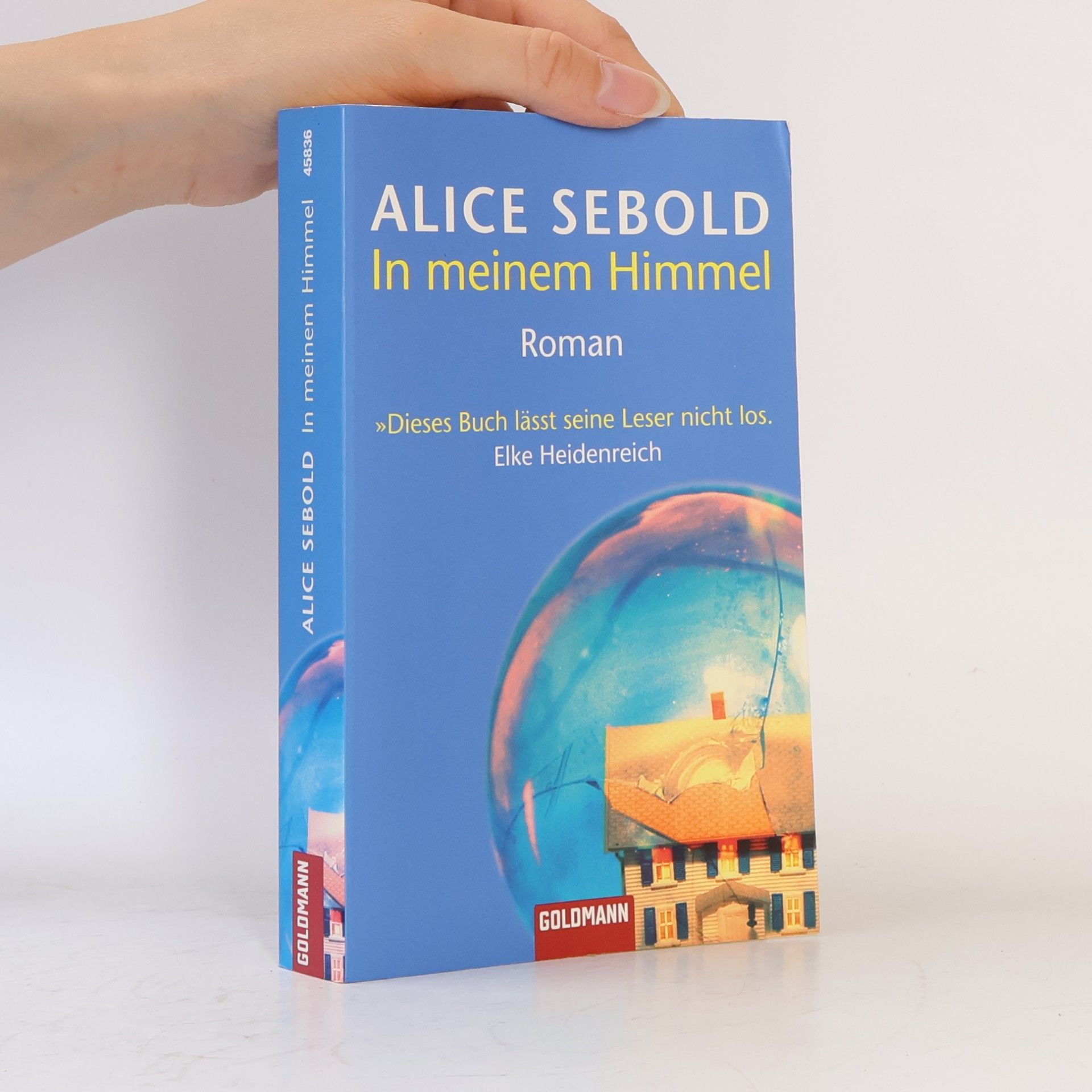 Alice Sebold In meinem Himmel