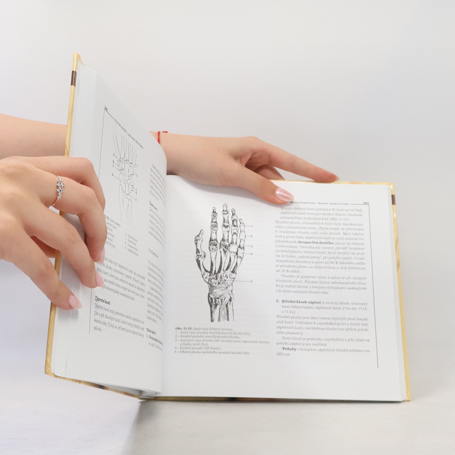 Ivan Dylevský Základy anatomie