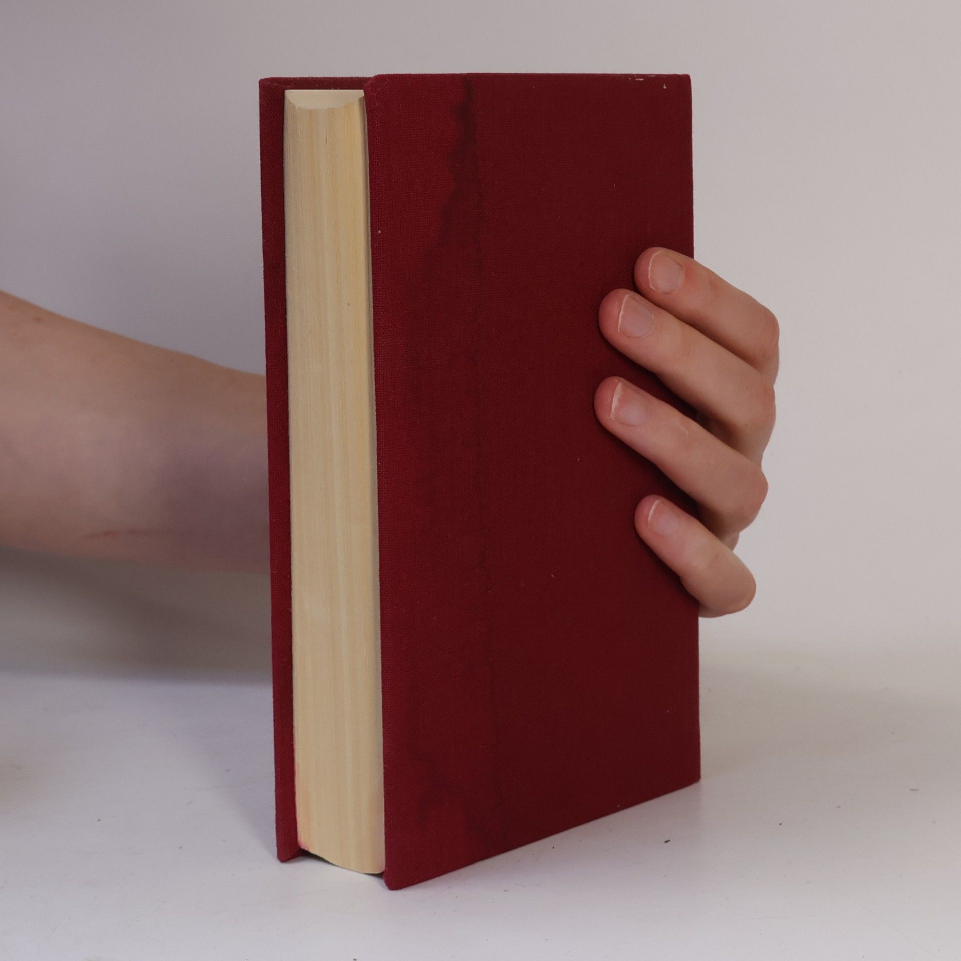 Fyodor Dostoyevsky Schuld und Sühne