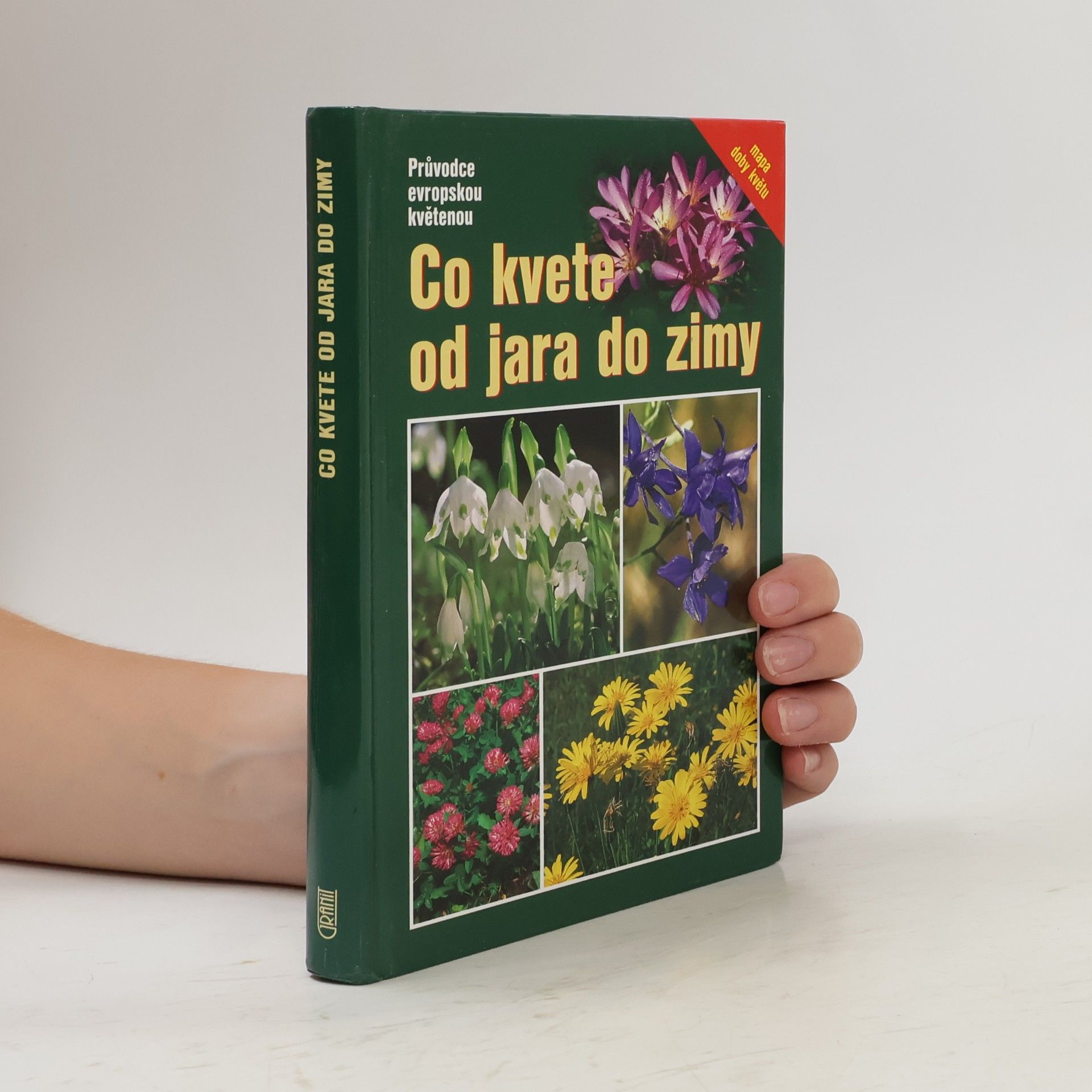 Eva-Maria Dreyer Co kvete od jara do zimy