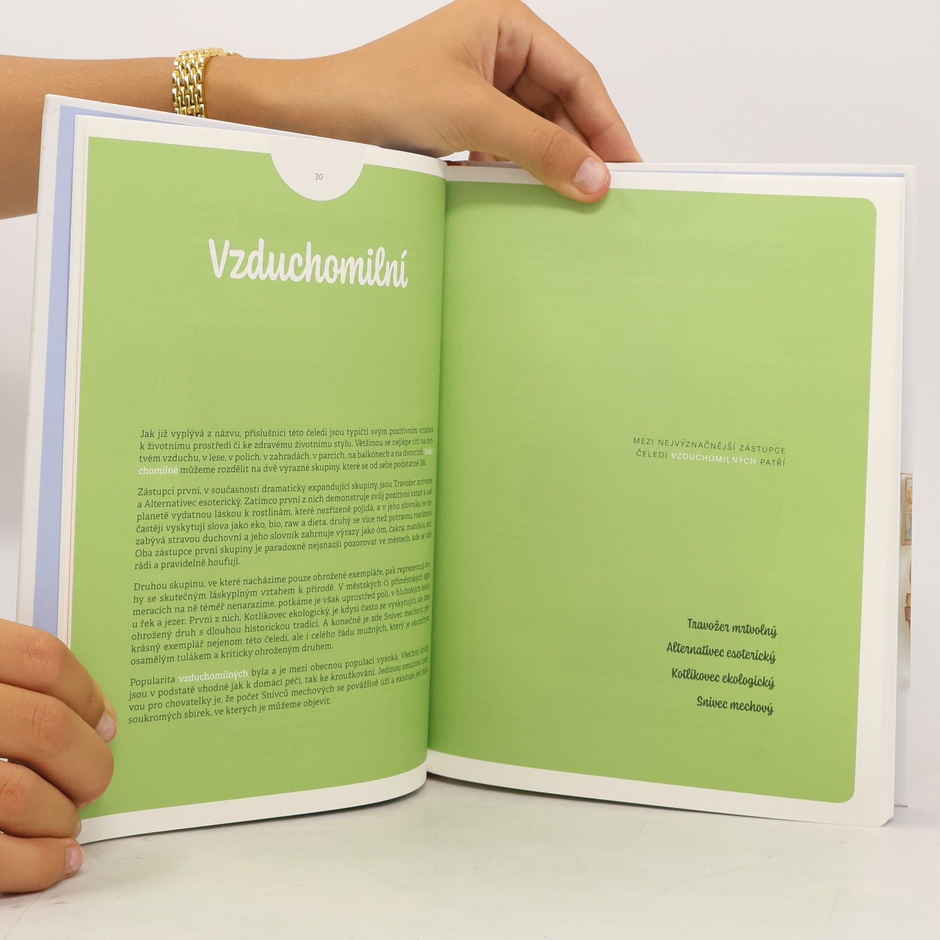 Sylva Lauerová Experimentální atlas mužů