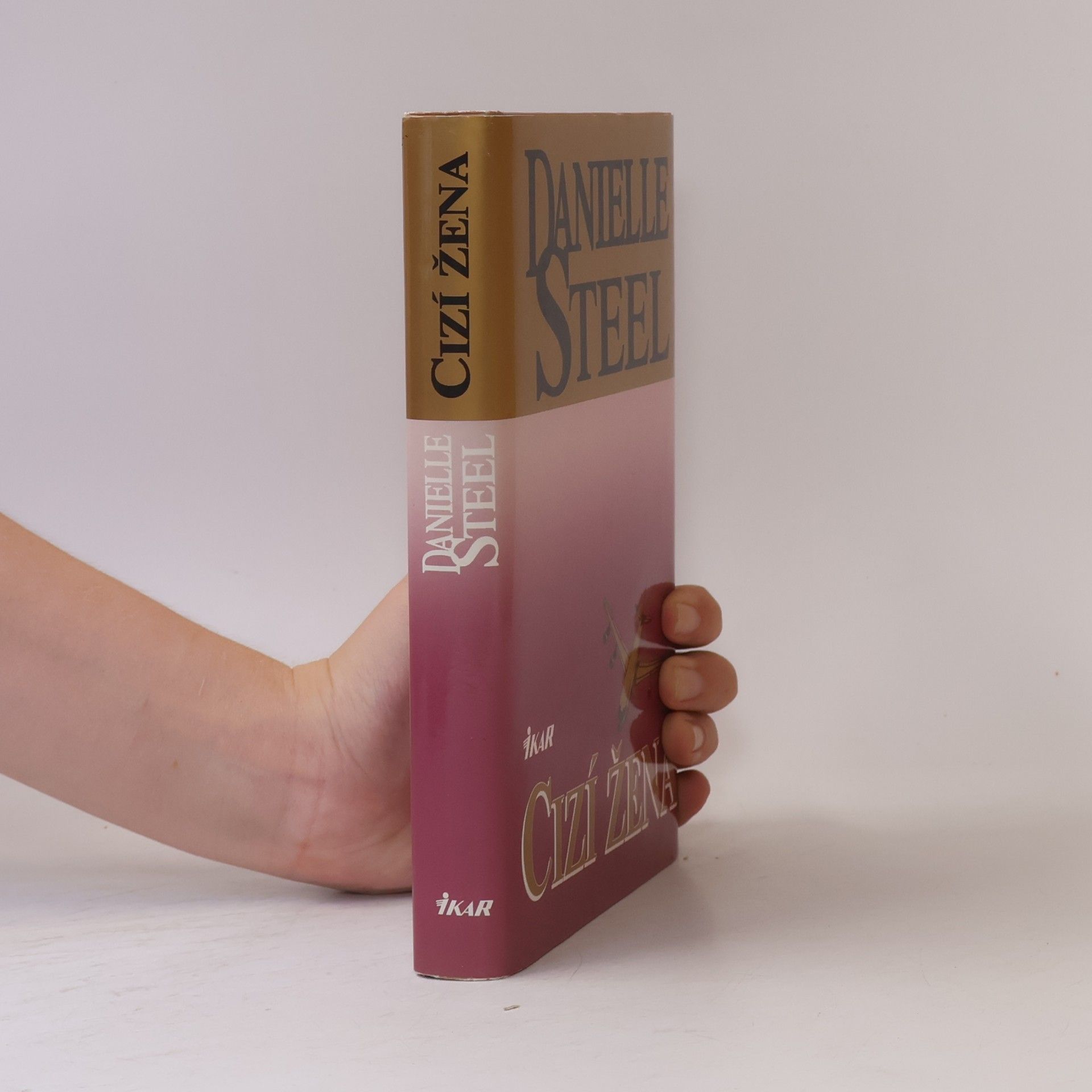 Danielle Steel Cizí žena