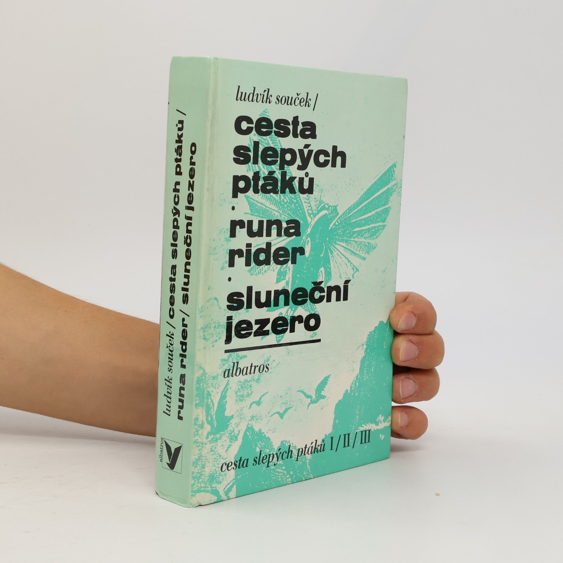 Ludvík Souček Cesta slepých ptáků. Runa rider. Sluneční jezero