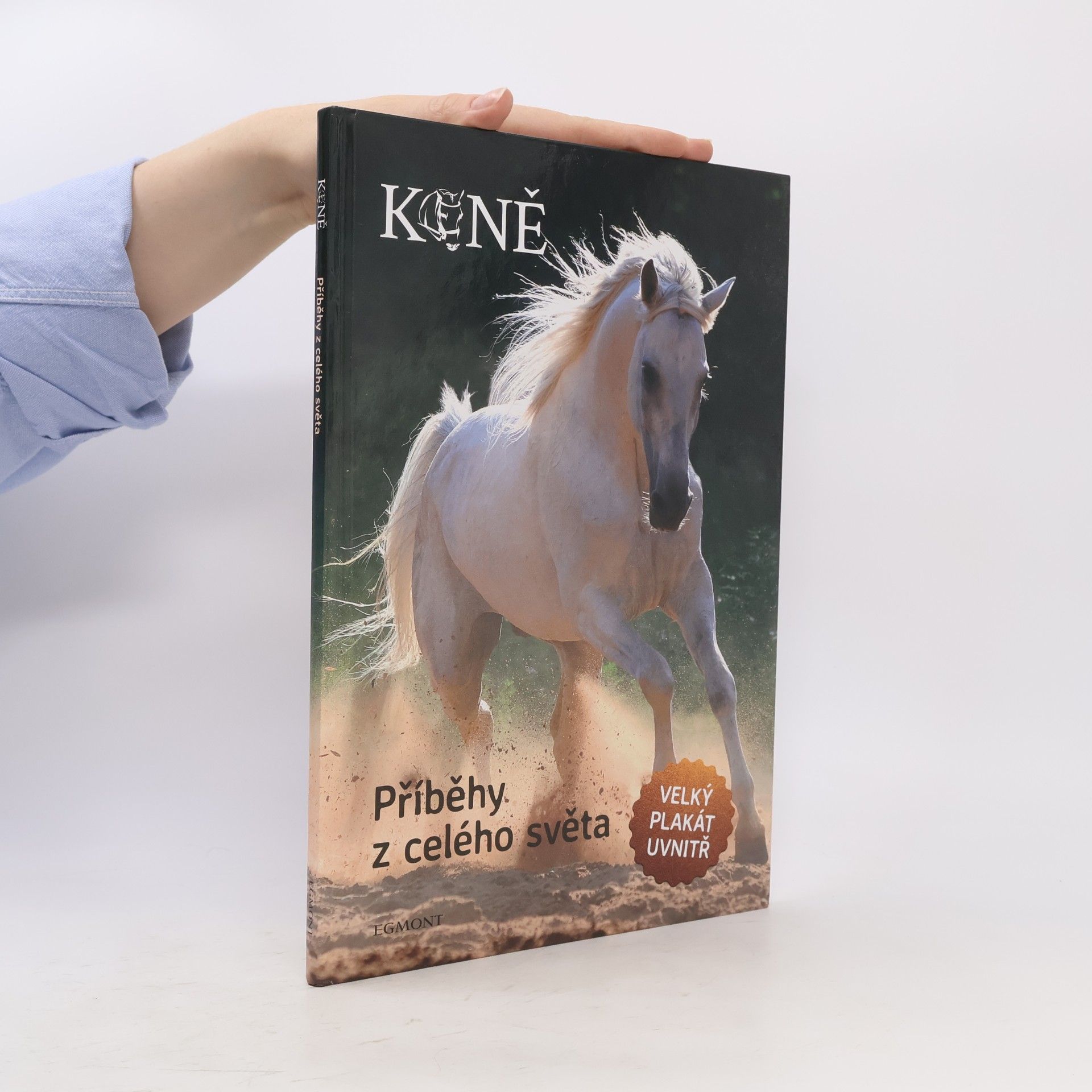 Autorenkollektiv Koně: příběhy z celého světa