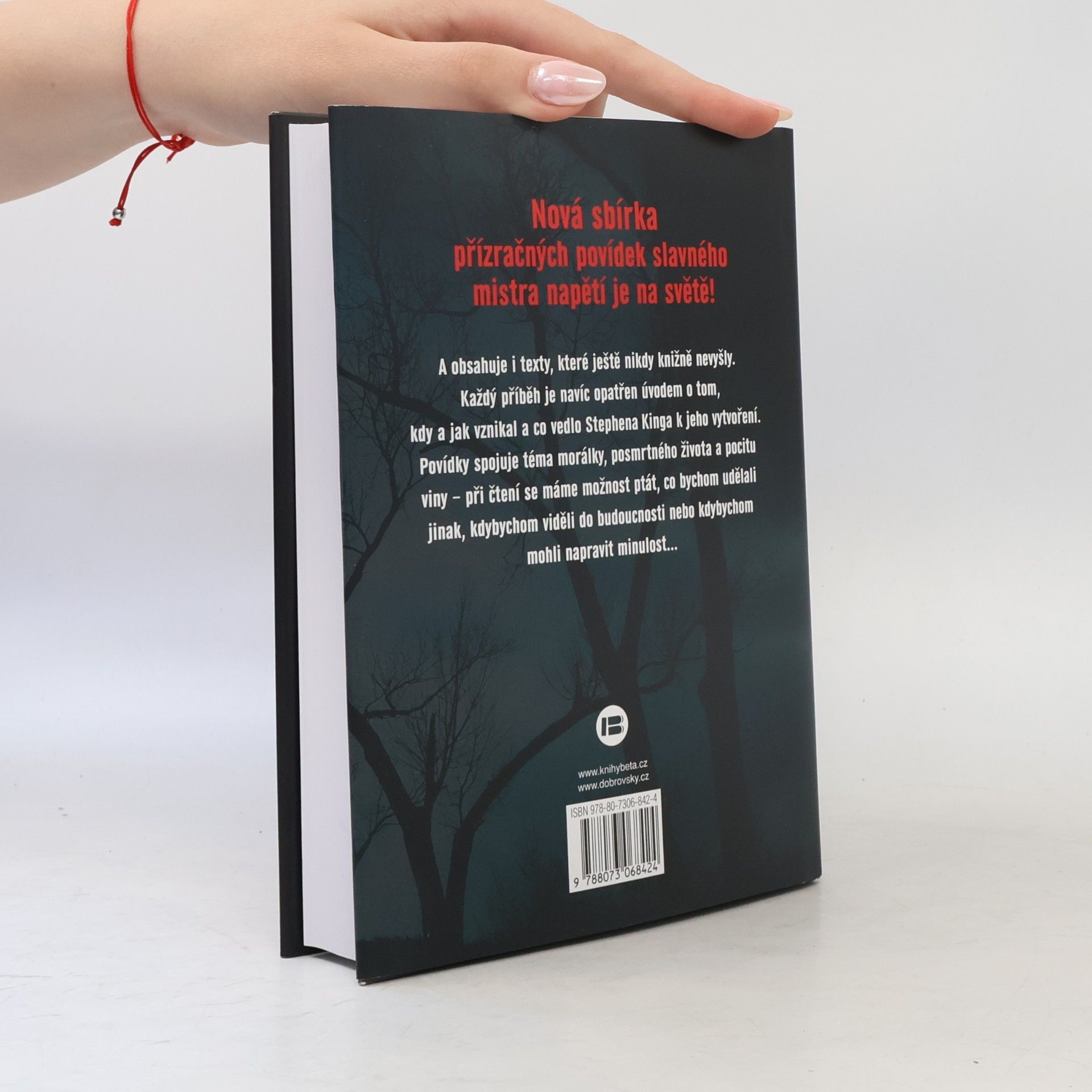 Stephen King Bazar zlých snů
