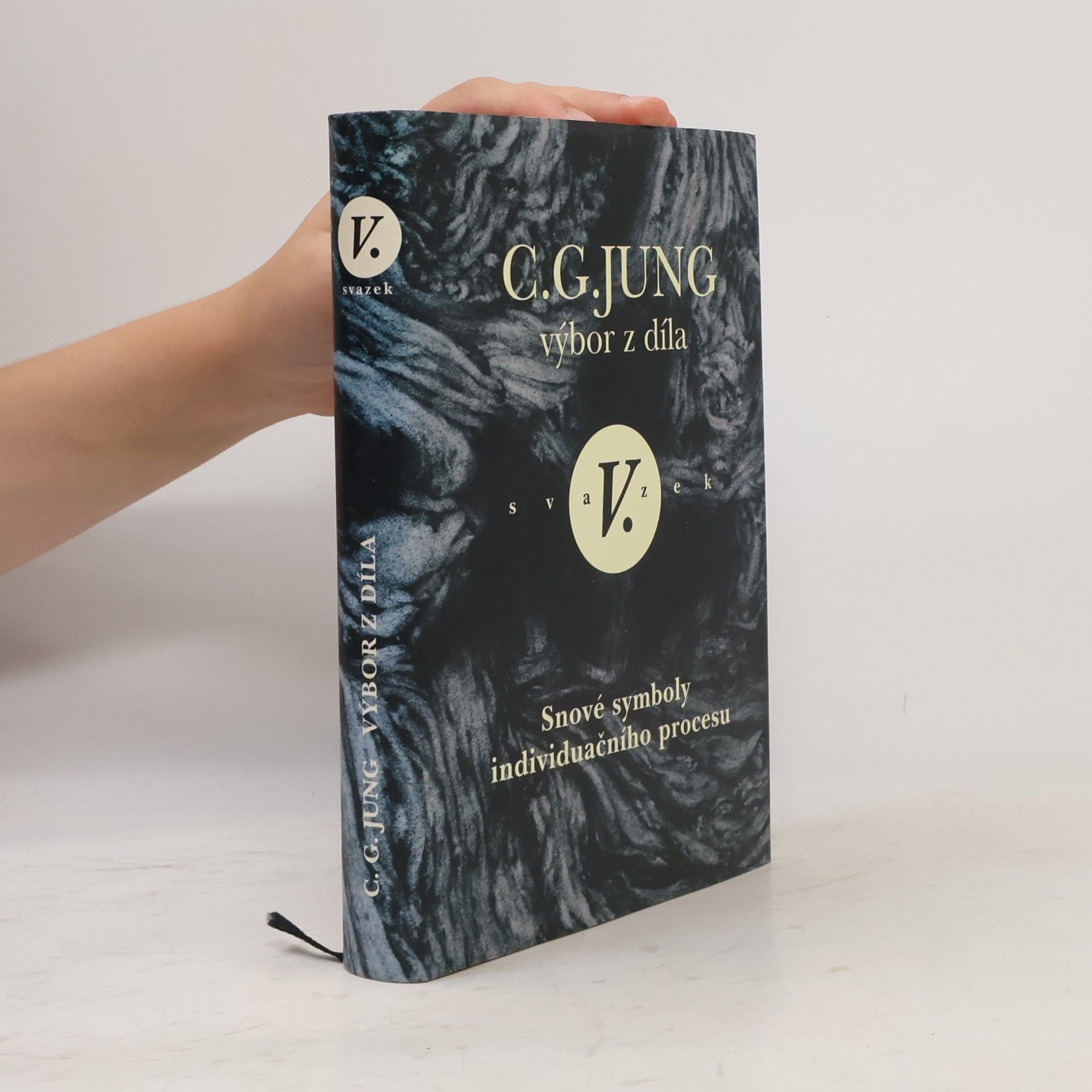 Carl Gustav Jung Výbor z díla V.