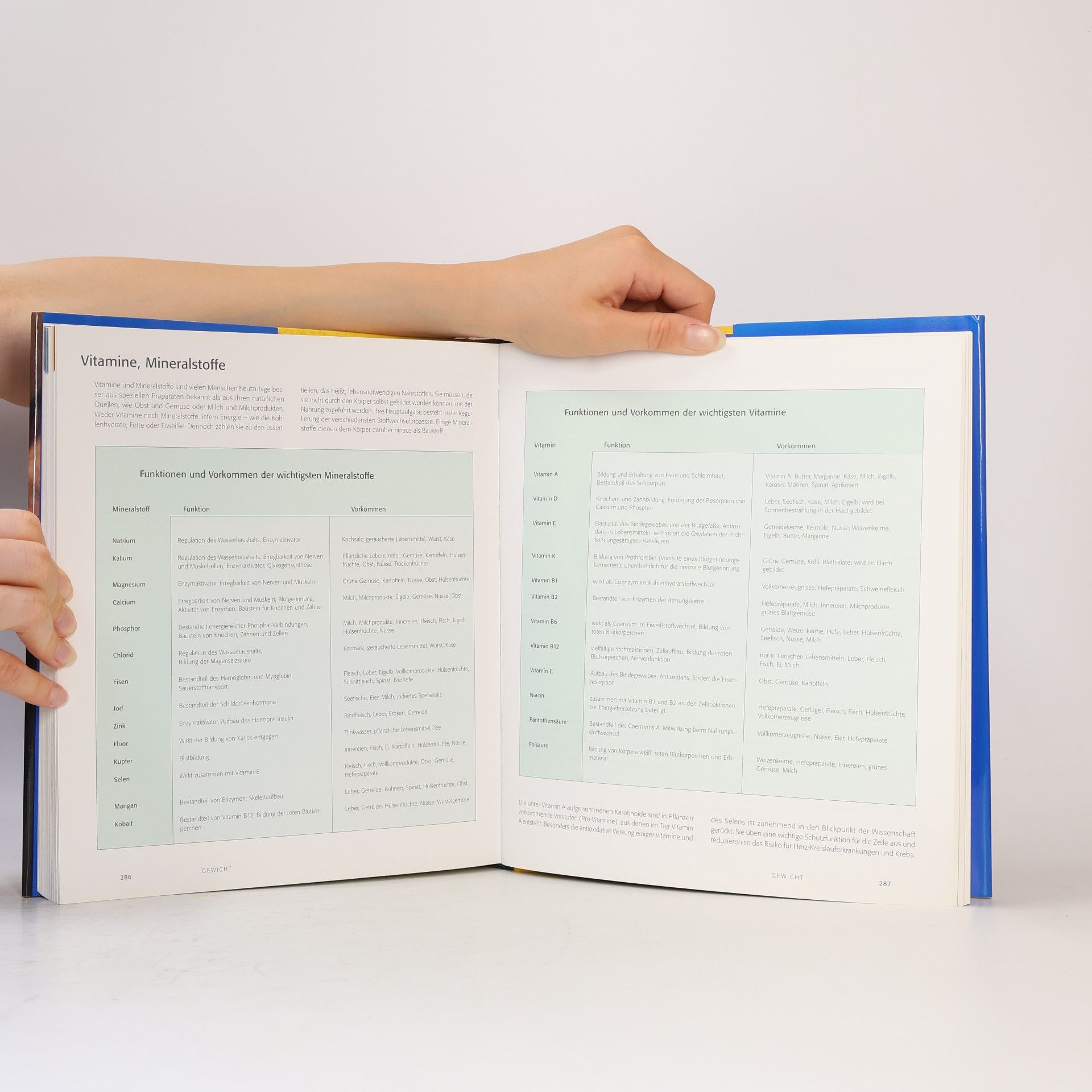 Oliver Barteck Fitness Manual