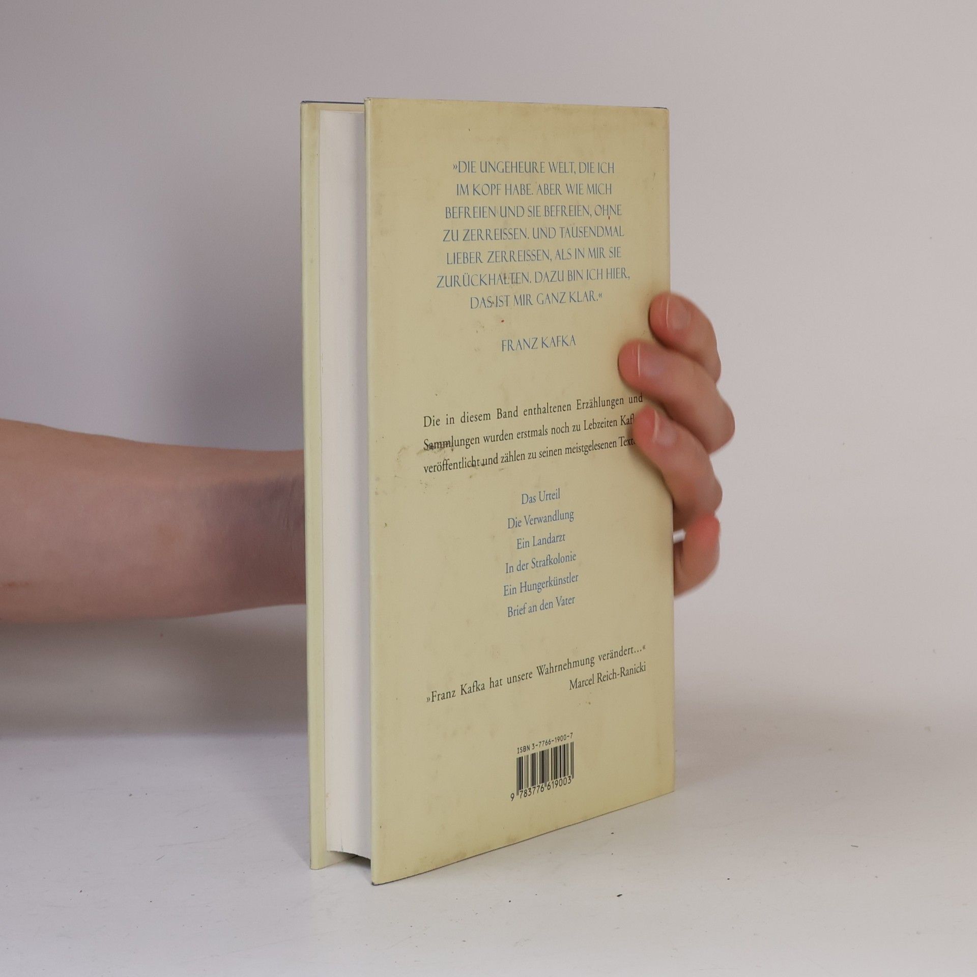 Franz Kafka Die Verwandlung und andere Erzählungen