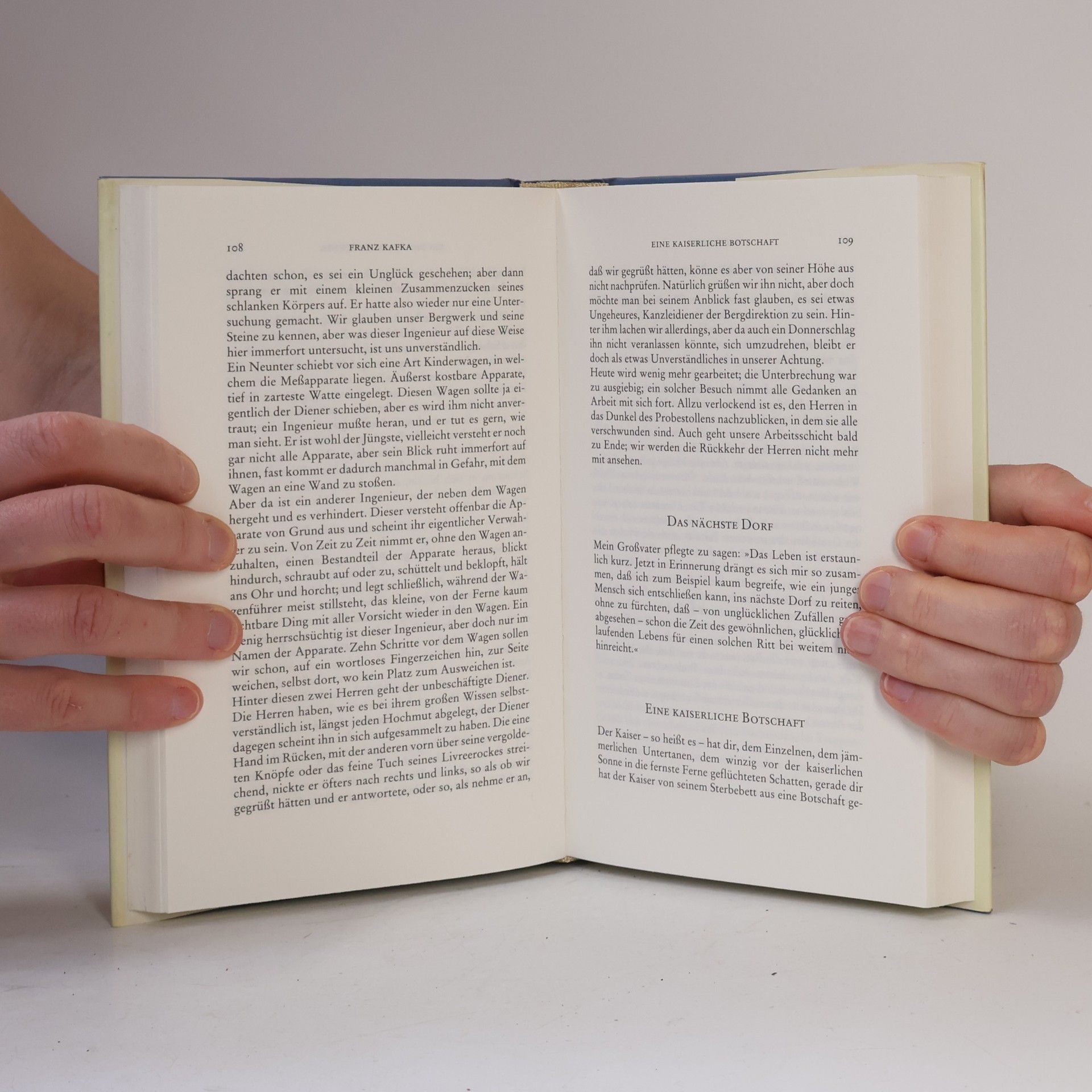Franz Kafka Die Verwandlung und andere Erzählungen