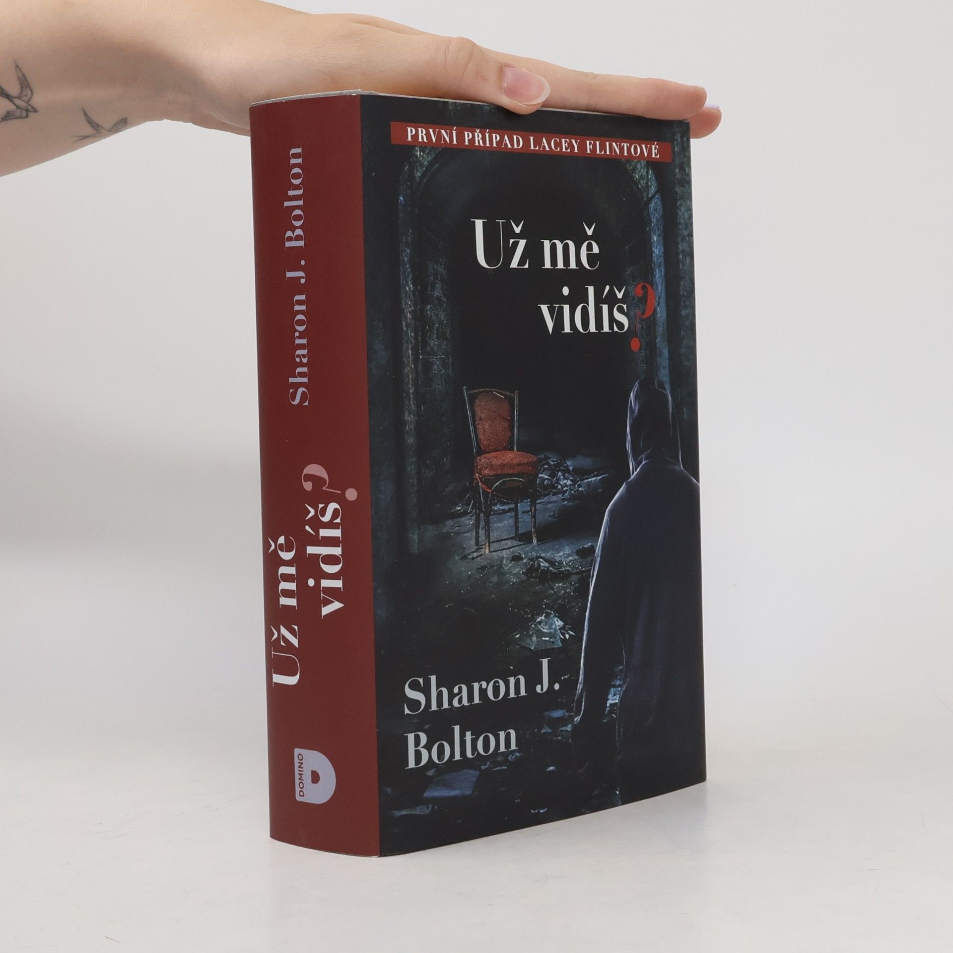Sharon J. Bolton Už mě vidíš?