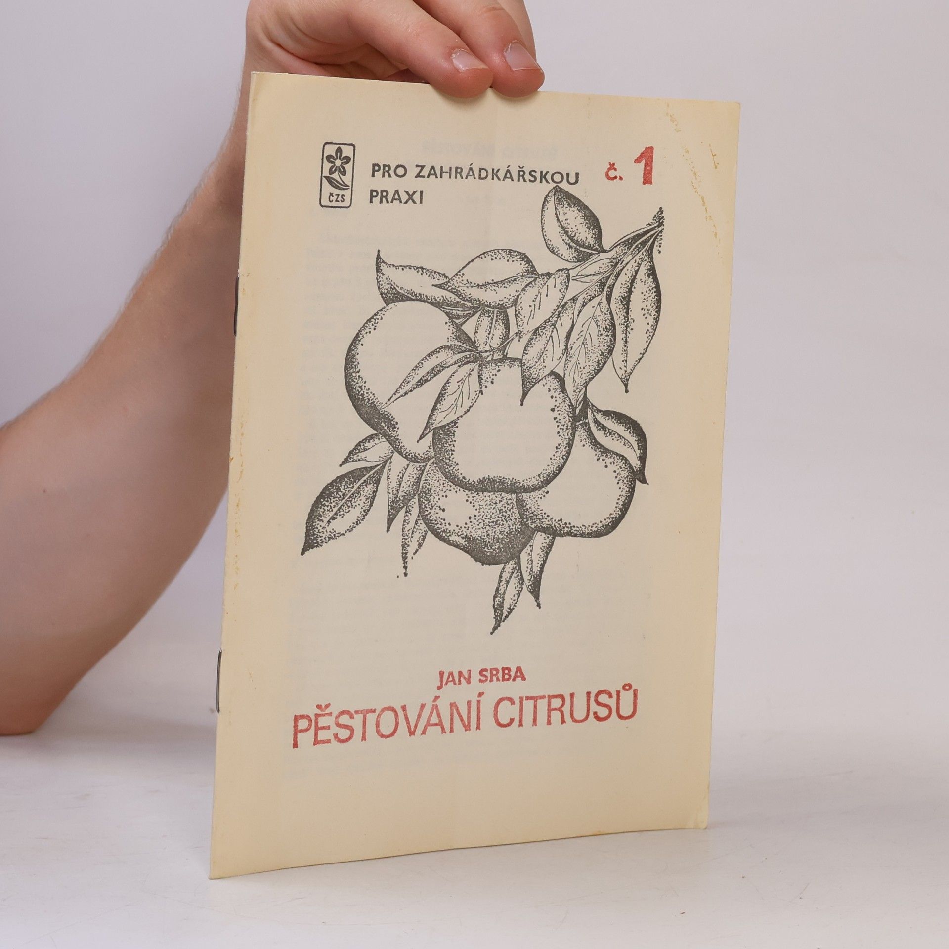 Jan Srba Pěstování citrusů v našich podmínkách