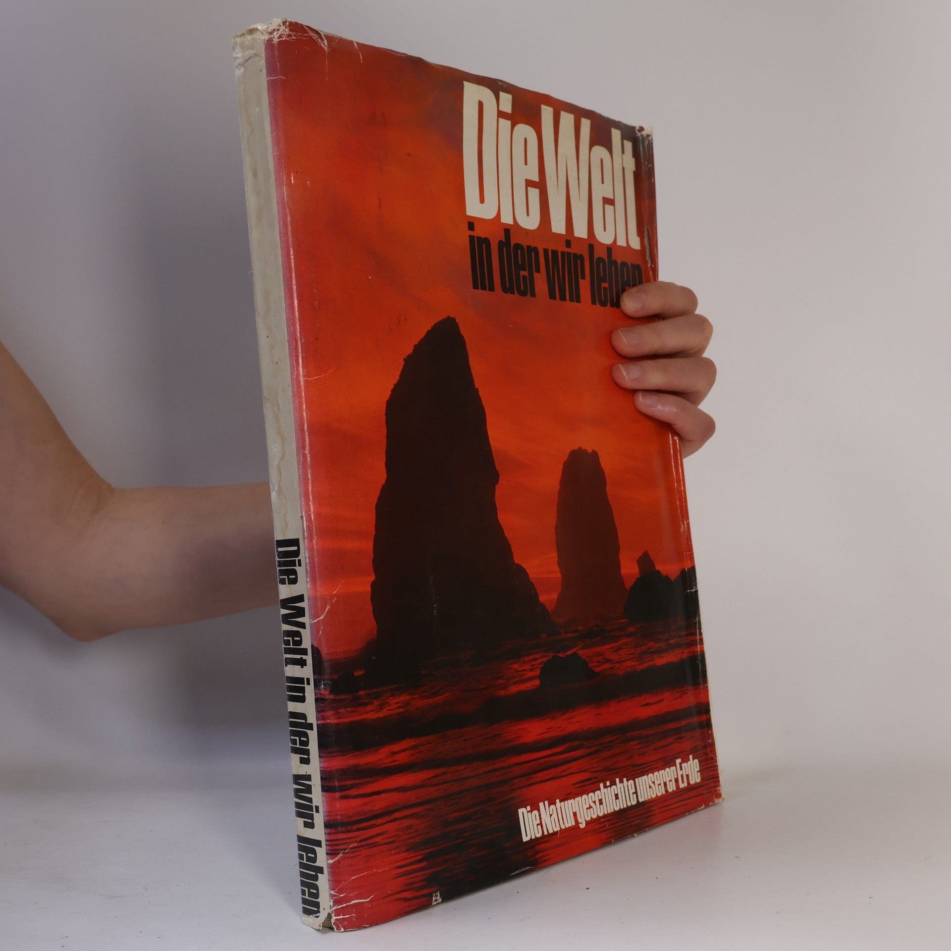 Autorenkollektiv Die Welt in der wir leben