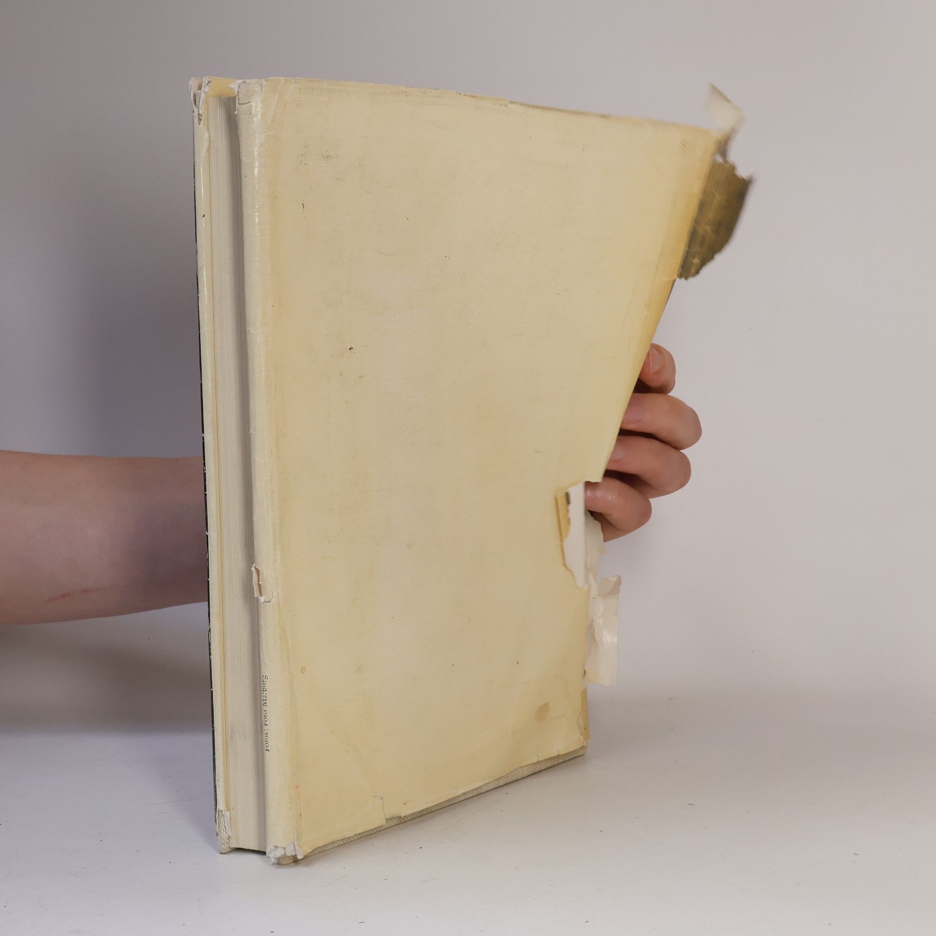 Ernst Gombrich Die Geschichte der Kunst : mit 392 Abbildungen
