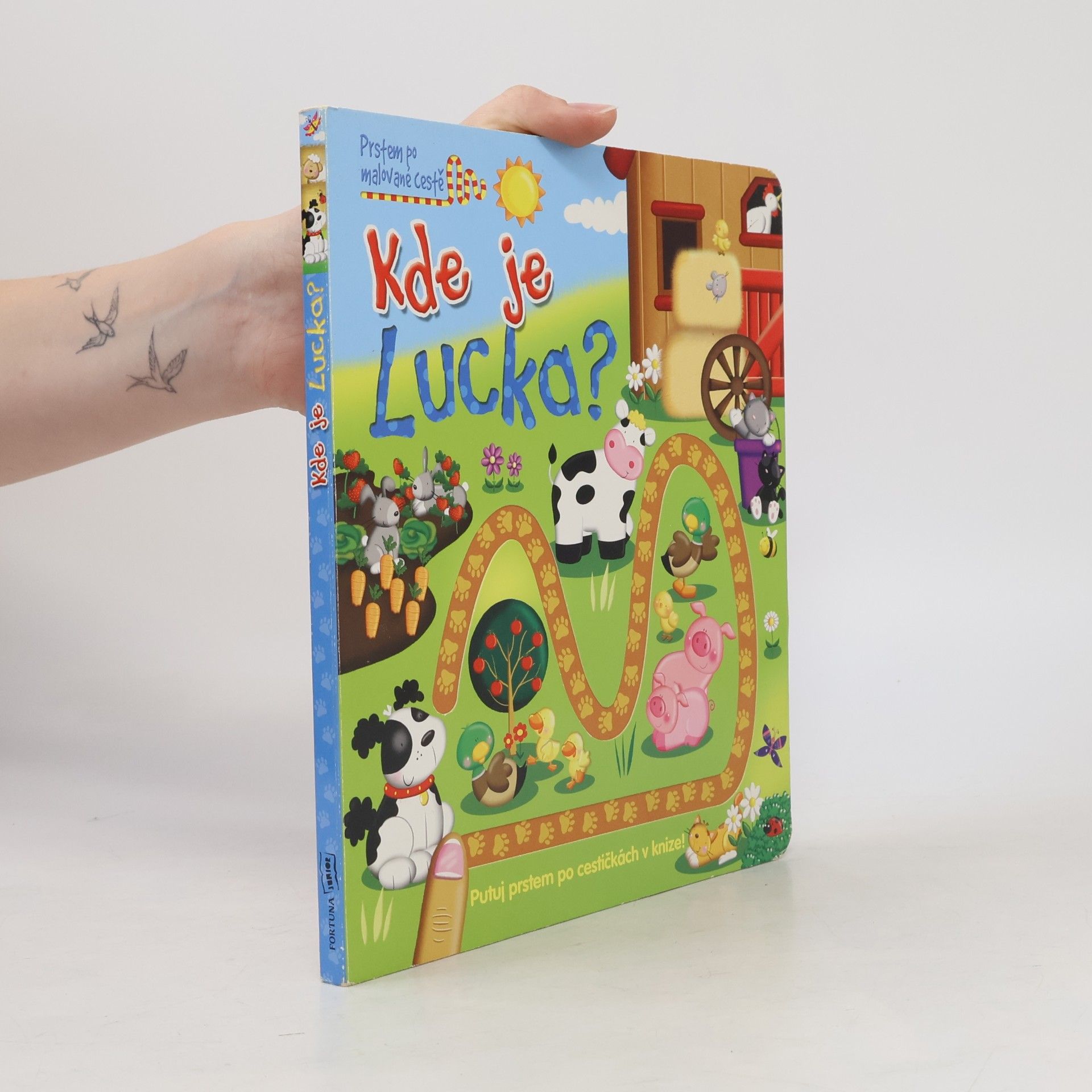 Kde je Lucka? : prstem po malované cestě