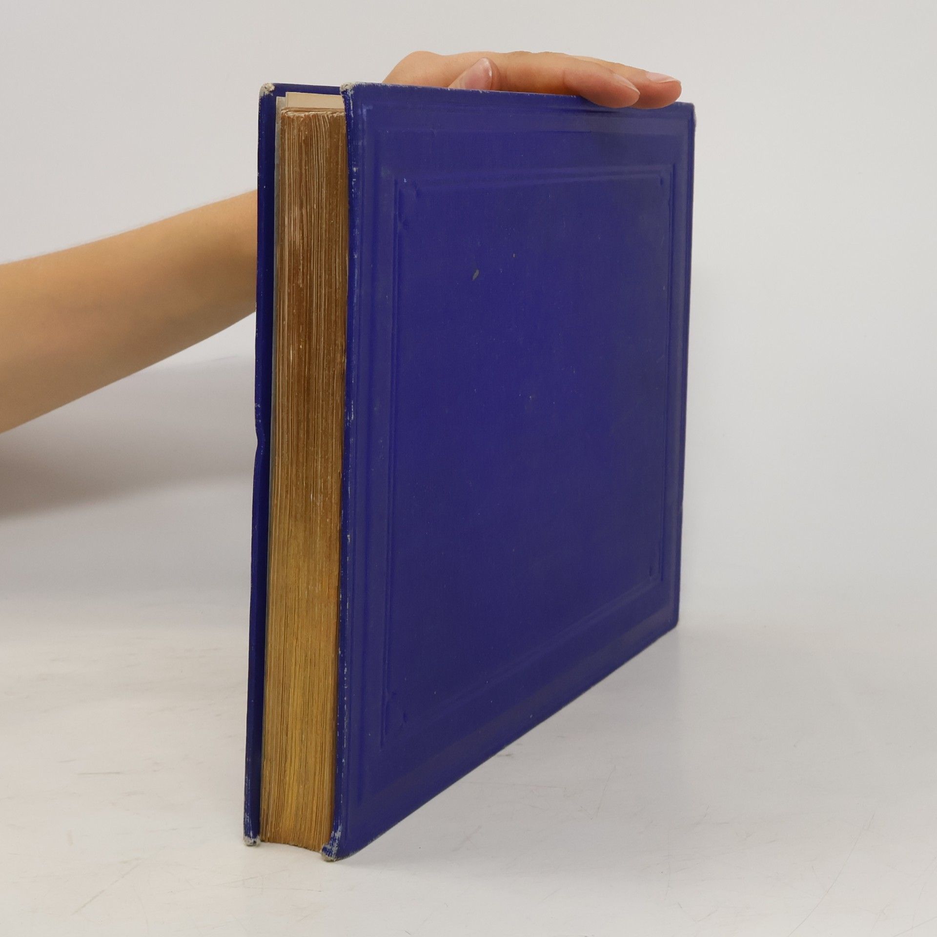 Autores varios Album of the Lands of the Bible