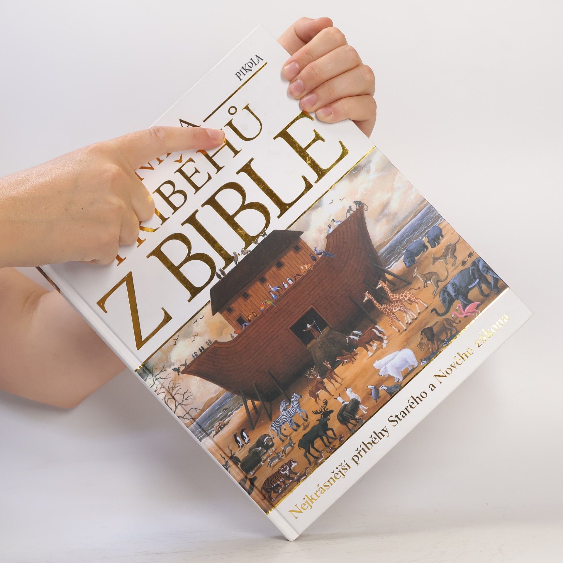 Autorenkollektiv Kniha příběhů z Bible