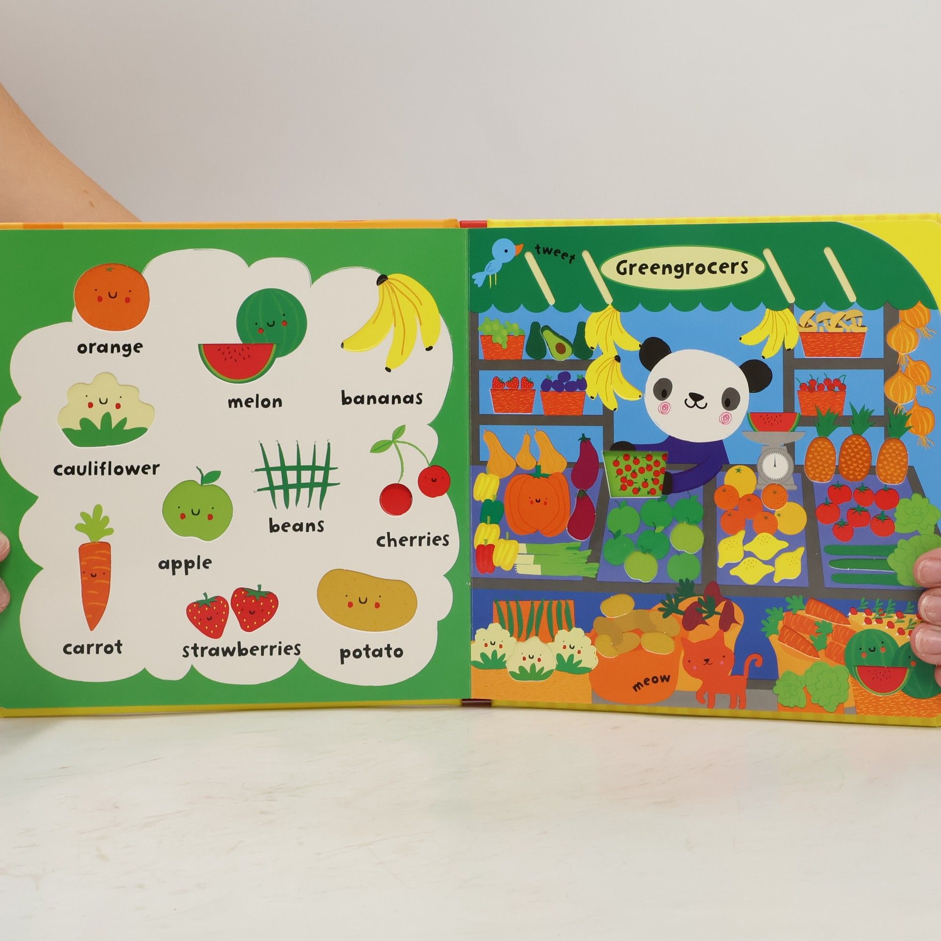 Stella Baggott Baby's very first play book: shop words