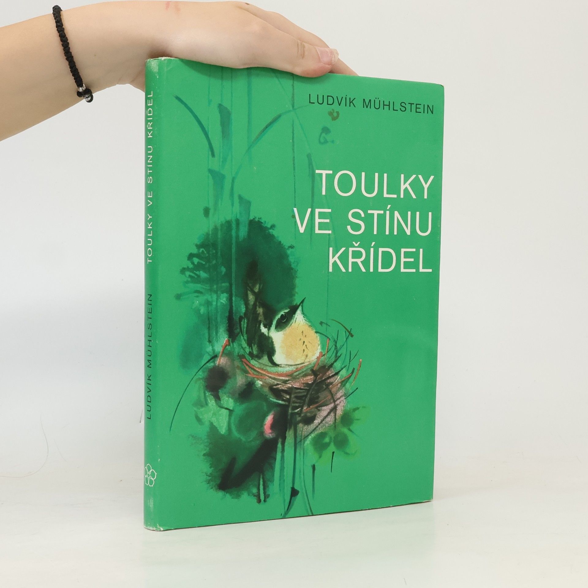 Toulky ve stínu křídel