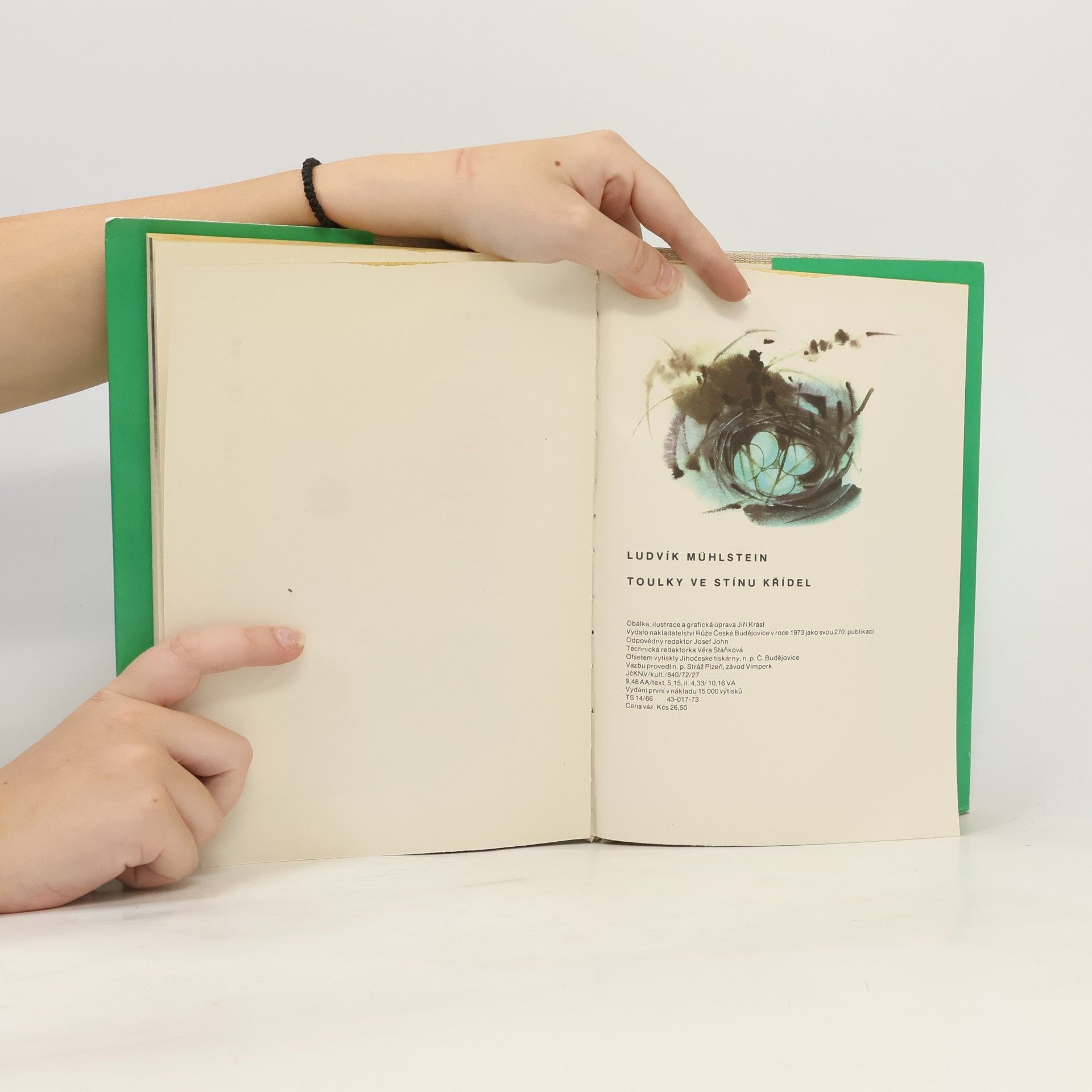 Ludvík Mühlstein Toulky ve stínu křídel