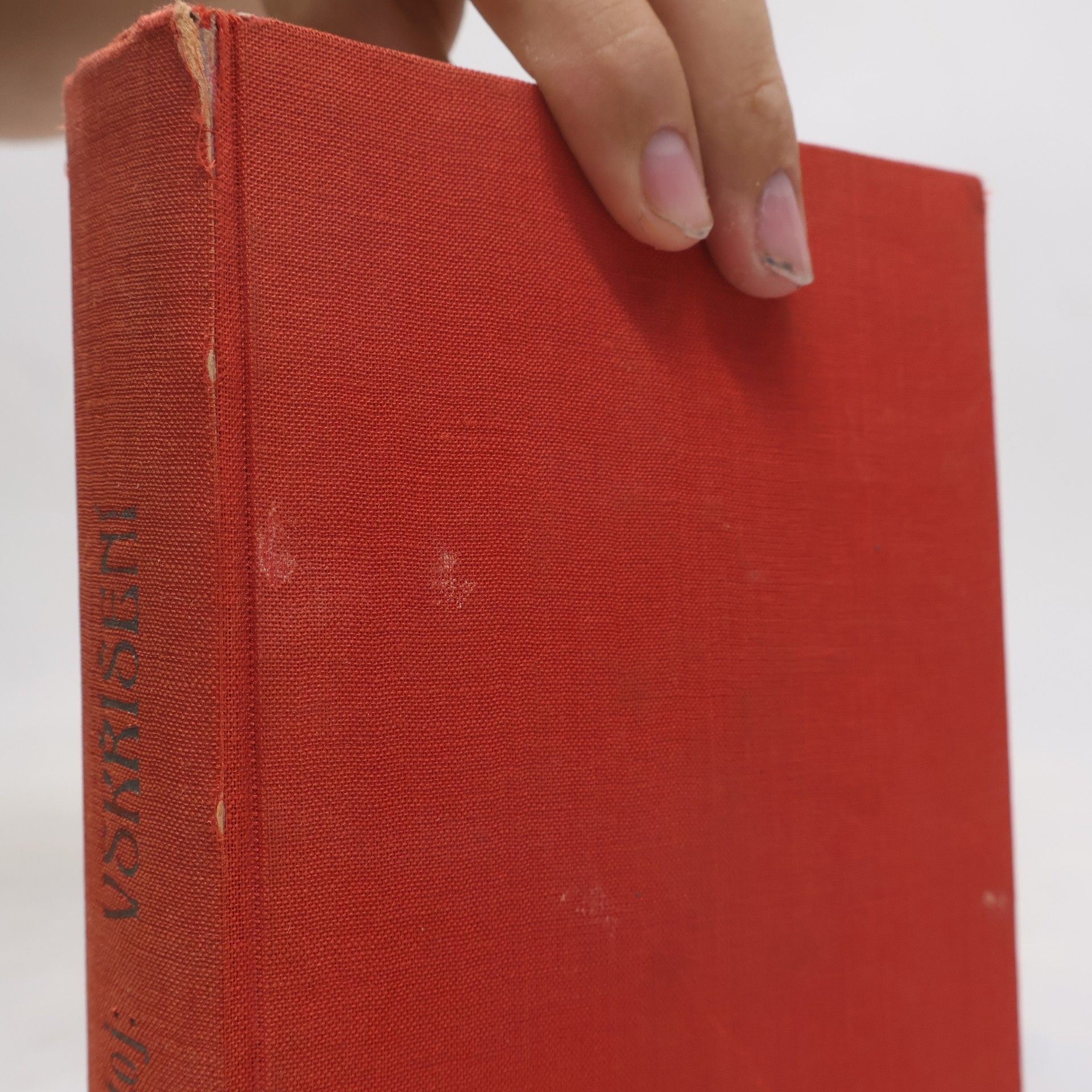 Lew Nikolajewitsch Tolstoi Vzkříšení I.
