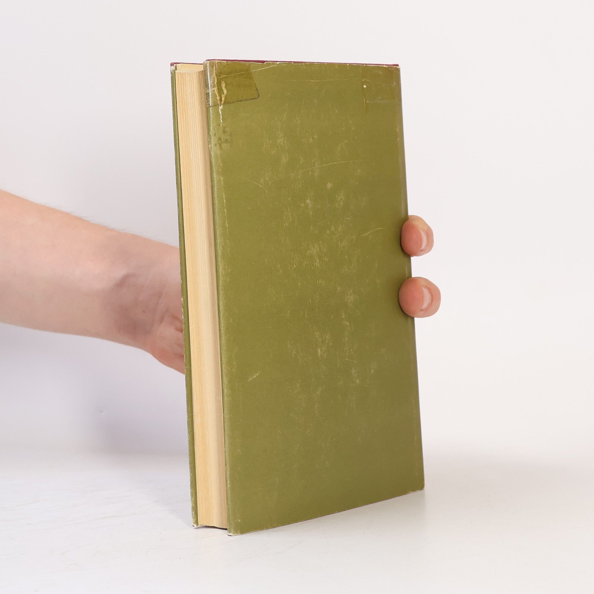 Marguerite Yourcenar Ich zähmte die Wölfin