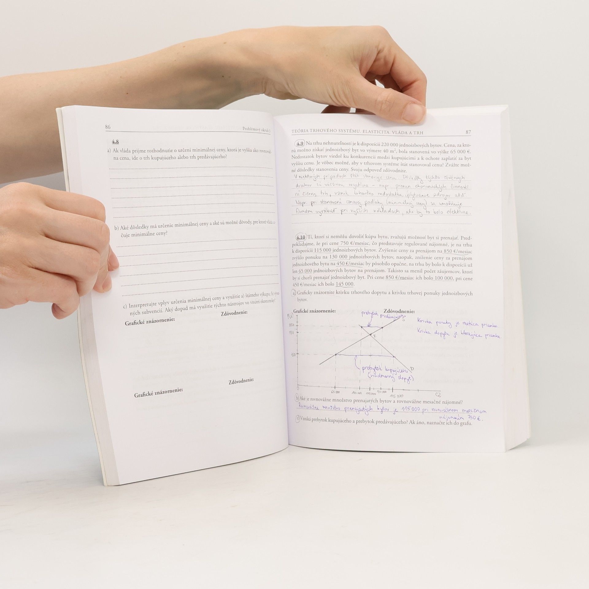 Daria Rozborilová Ekonómia praktikum, Ekonomická teória 1