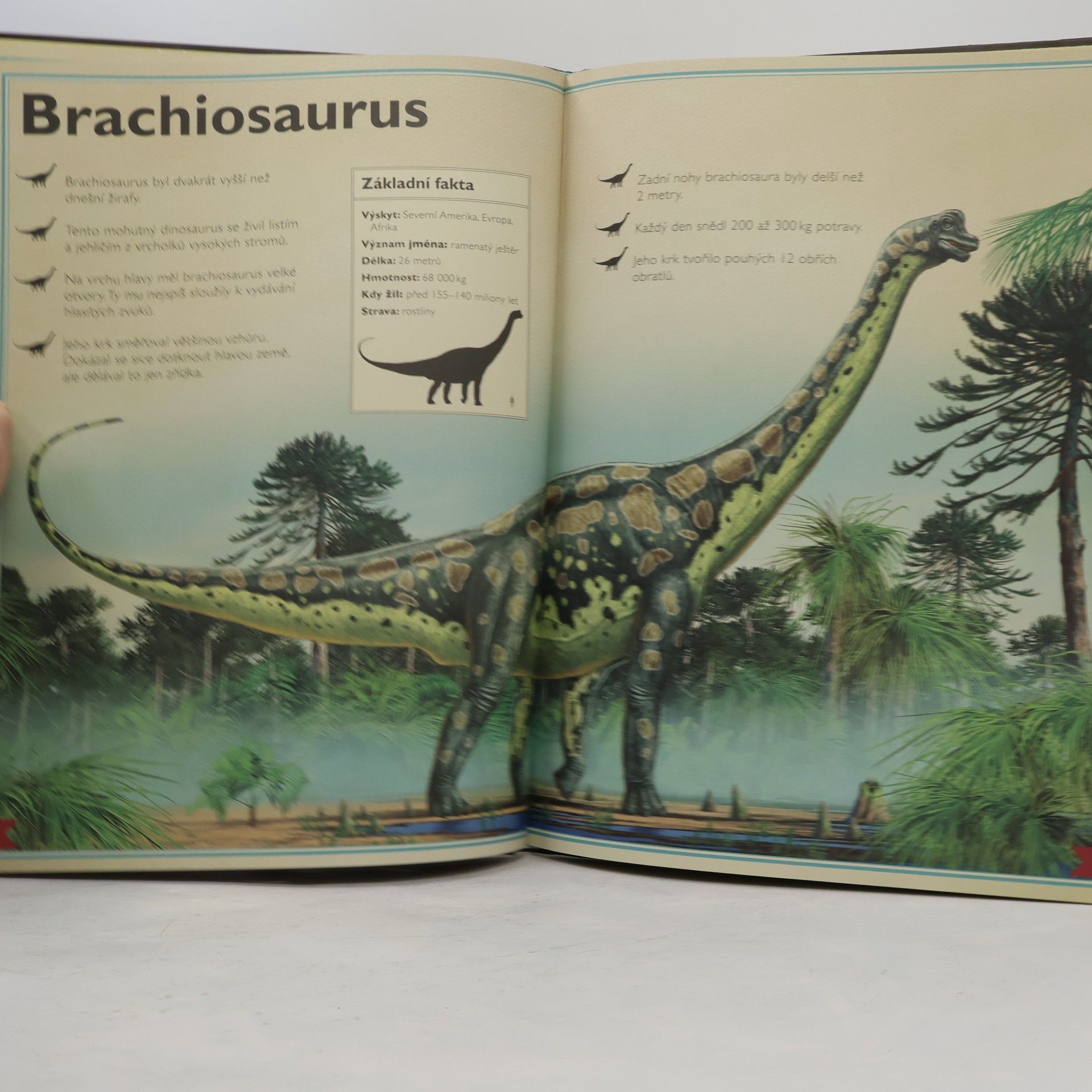 Jackson Tom Velkolepá kniha o dinosaurech