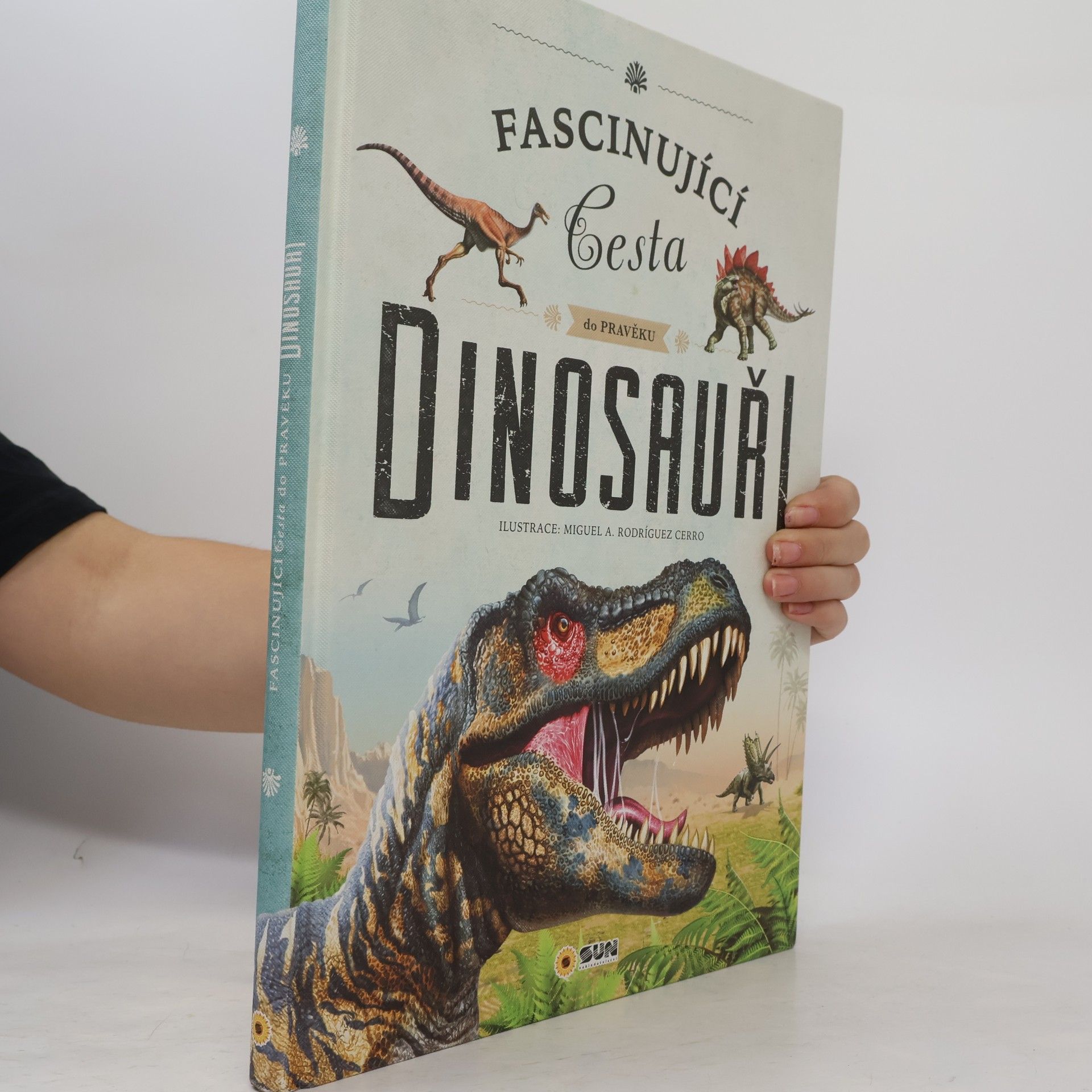 Autorenkollektiv Fascinující cesta do pravěku Dinosauři