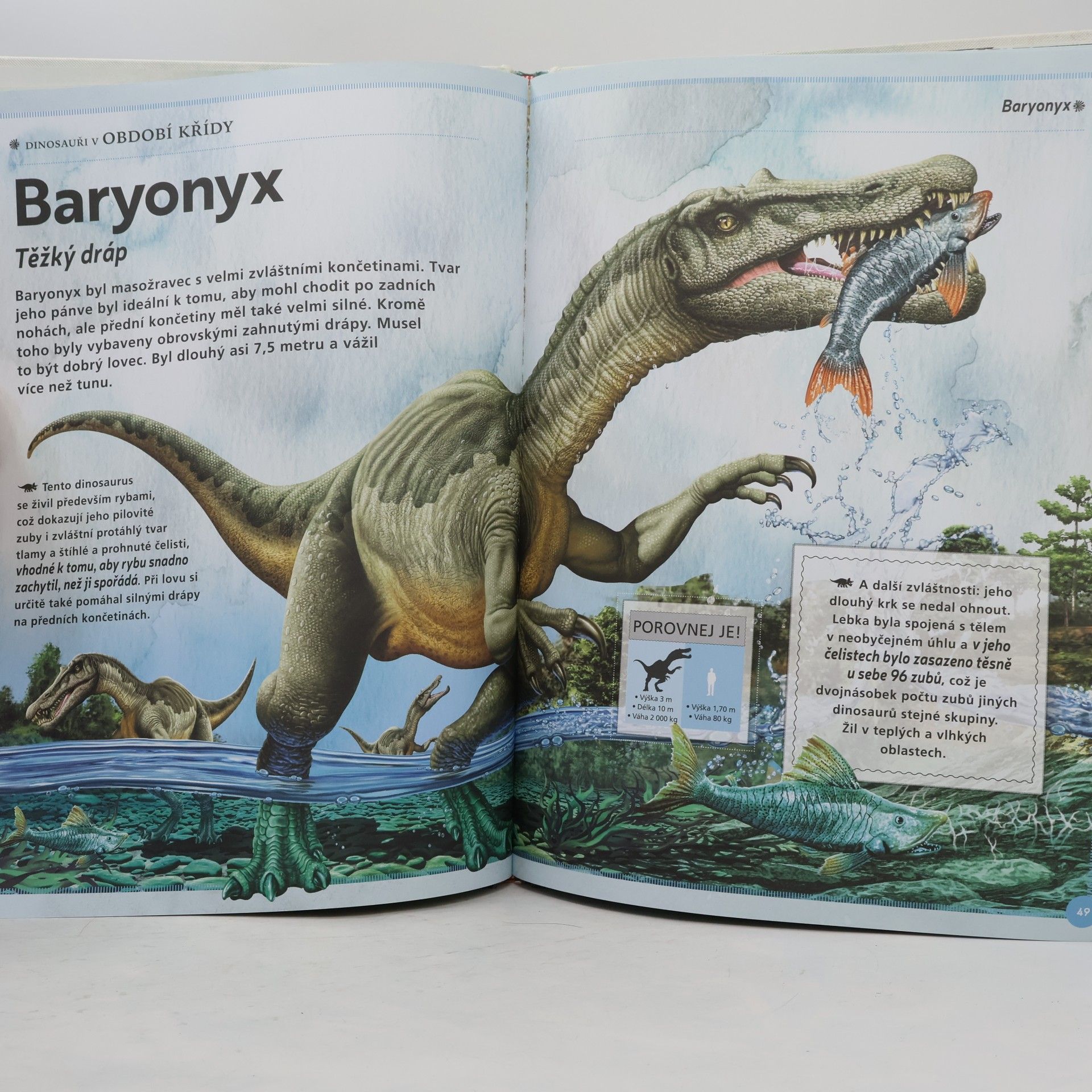 Autorenkollektiv Fascinující cesta do pravěku Dinosauři