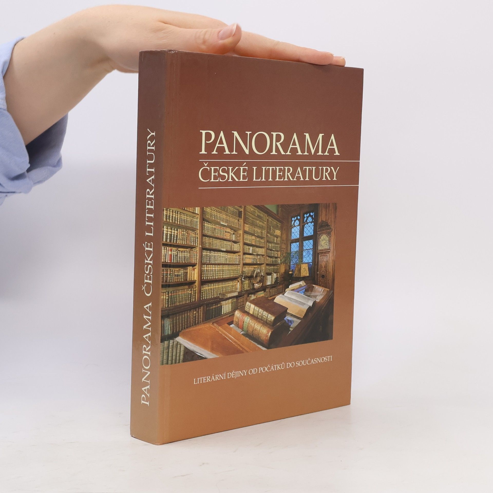 Josef Galík Panorama české literatury. Literární dějiny od počátků do současnosti