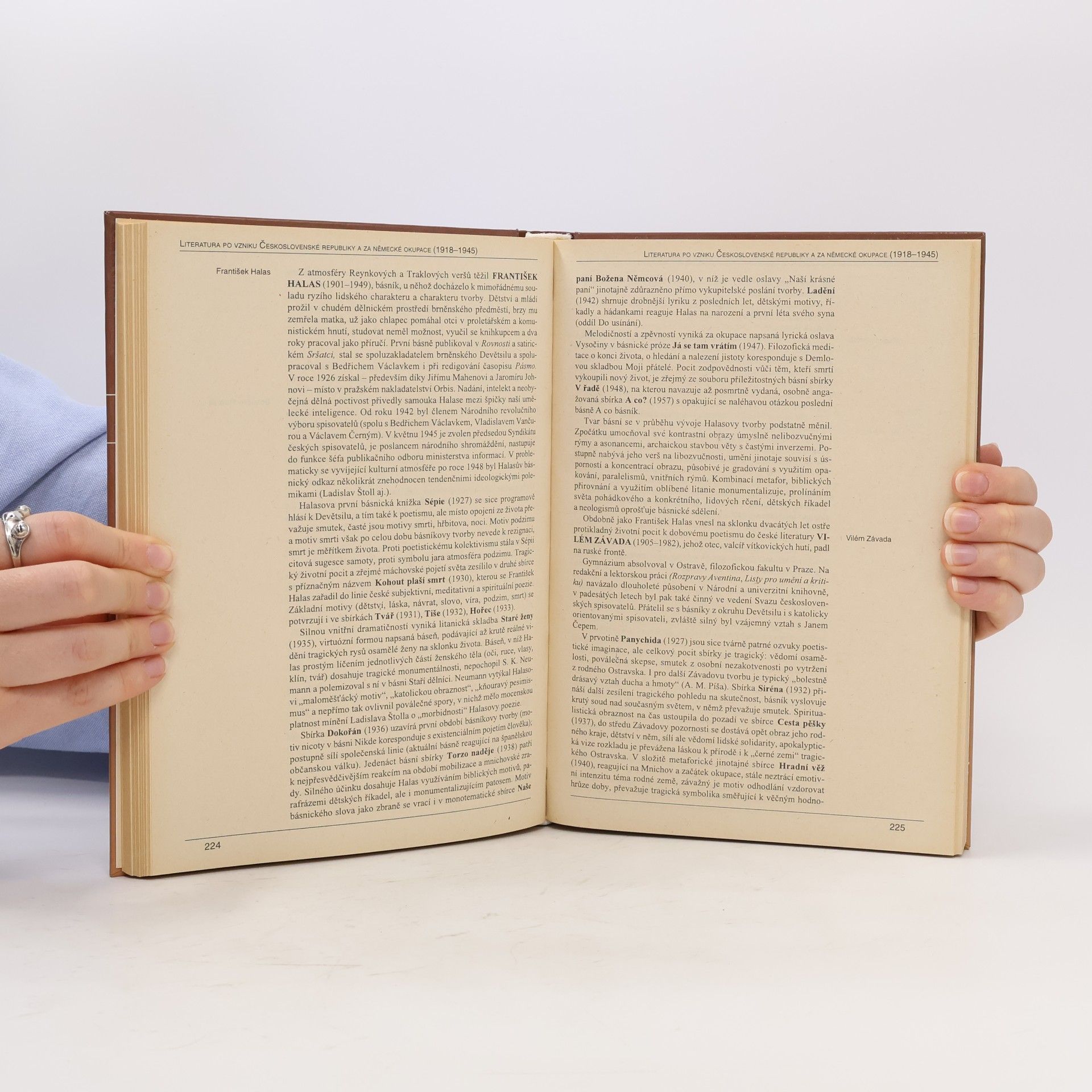 Collectif d'auteurs Panorama české literatury. Literární dějiny od počátků do současnosti