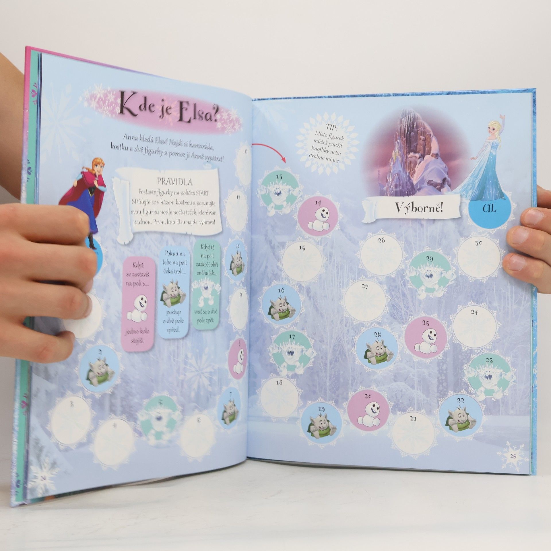 Katie Westlake Ledové království : knížka na celý rok