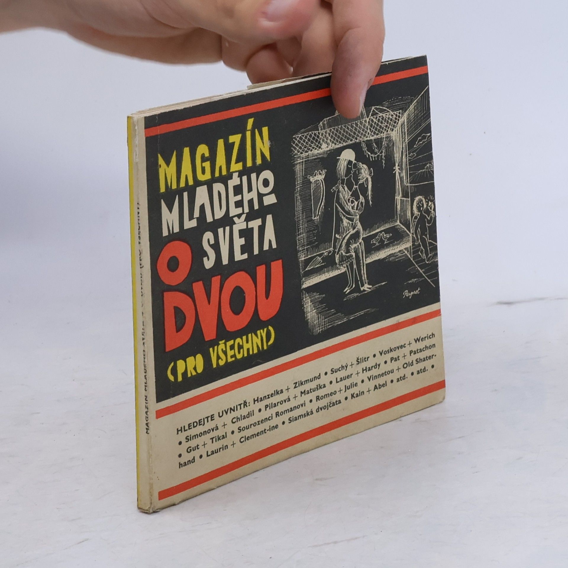 Autorenkollektiv Magazín Mladého světa o dvou (pro všechny)