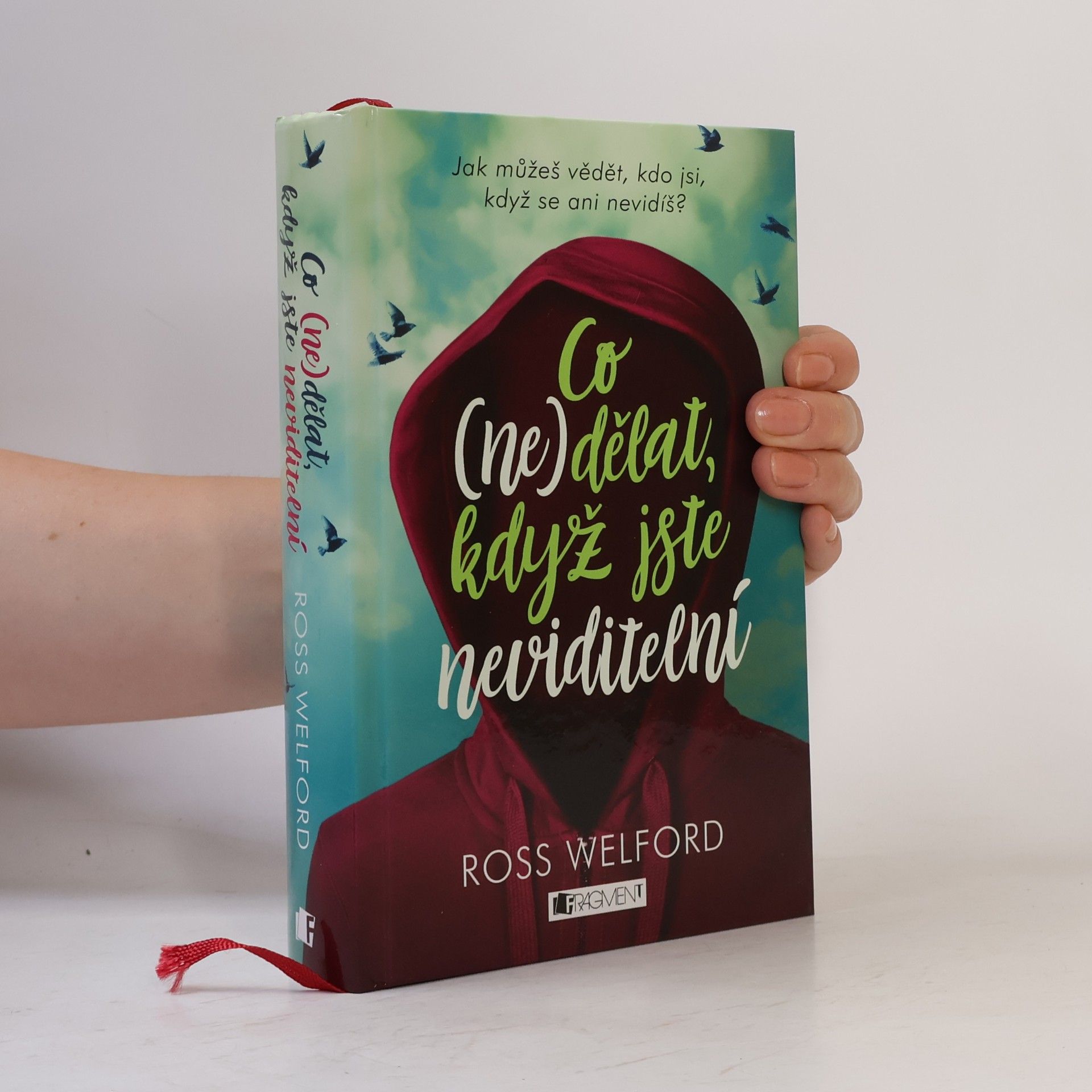 Zuzana Švábová Co (ne)dělat, když jste neviditelní