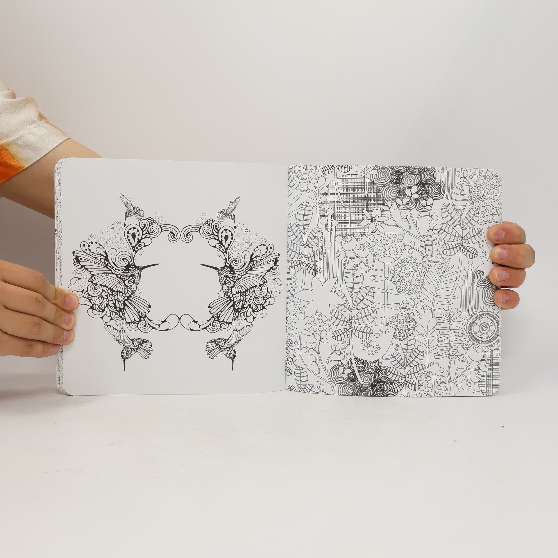 Kolektiv autorů Mandalas Natur & Tiere