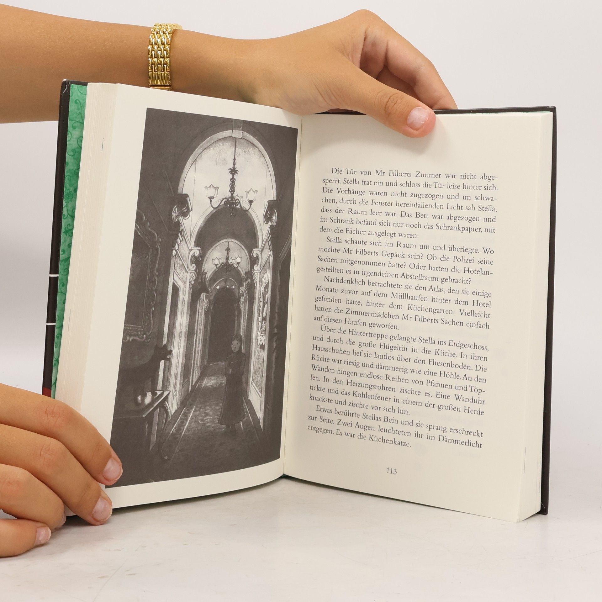 Judith Rossell Stella Montgomery und die bedauerliche Verwandlung des Mr Filbert