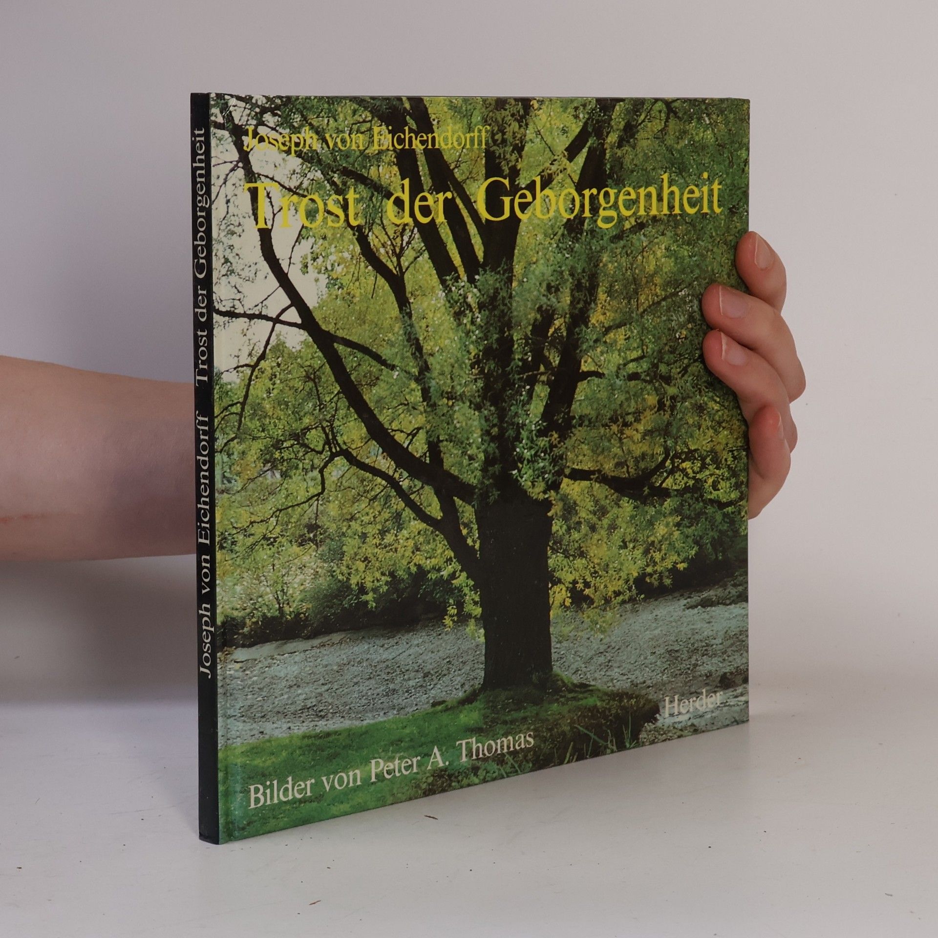 Trost der Geborgenheit