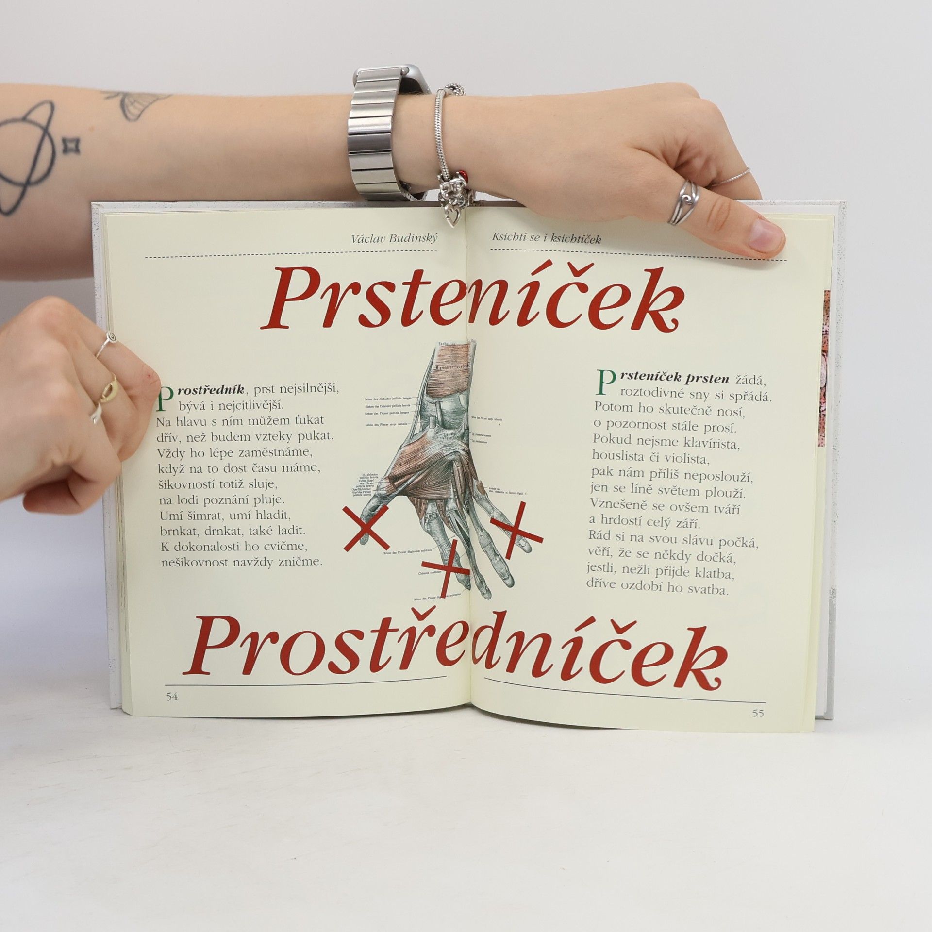 Václav Budinský Ksichtí se i ksichtíček