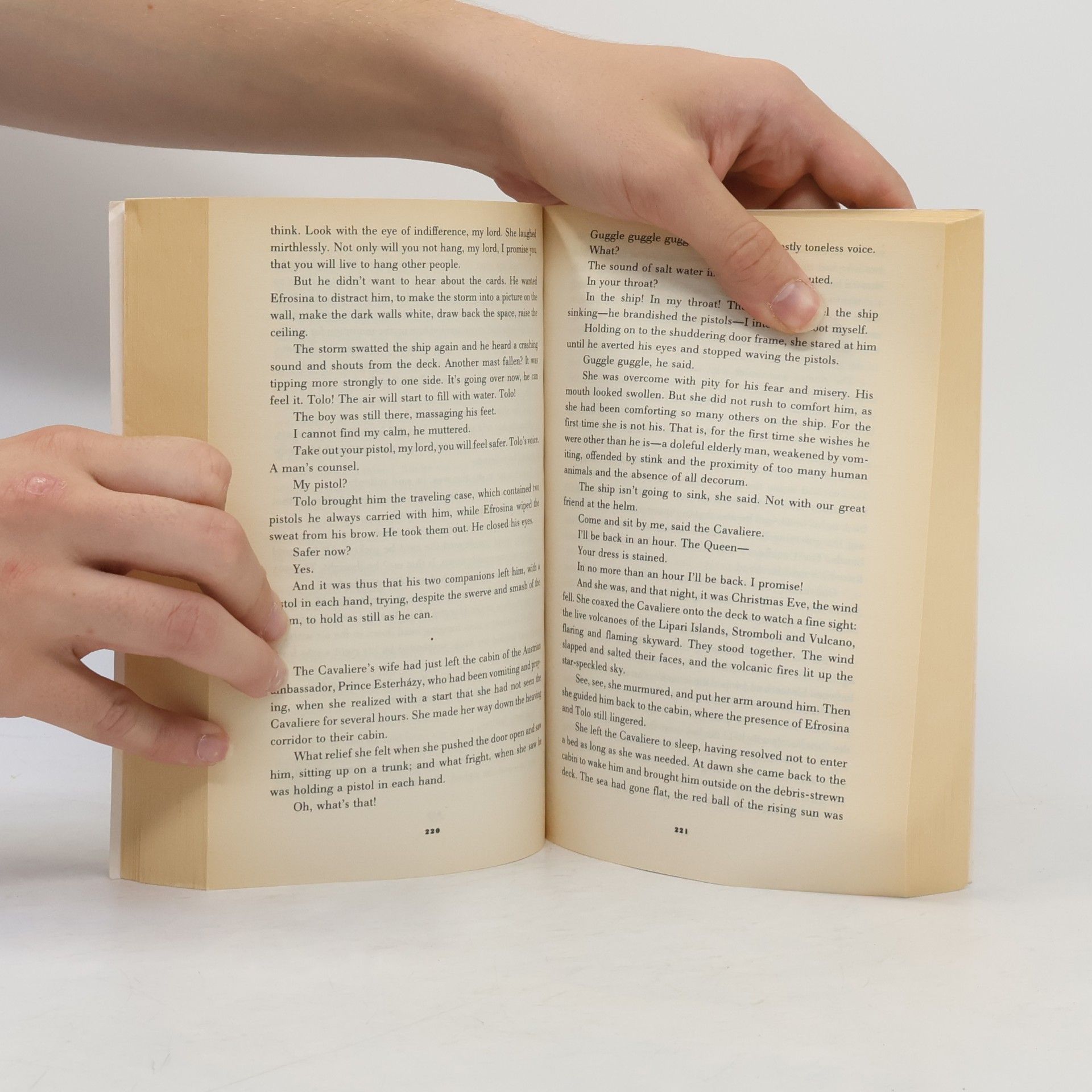 Susan Sontag The Volcano Lover : A Romance