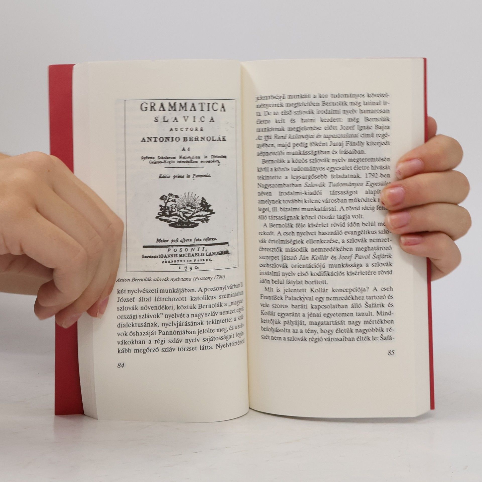 László Szarka A szlovákok története