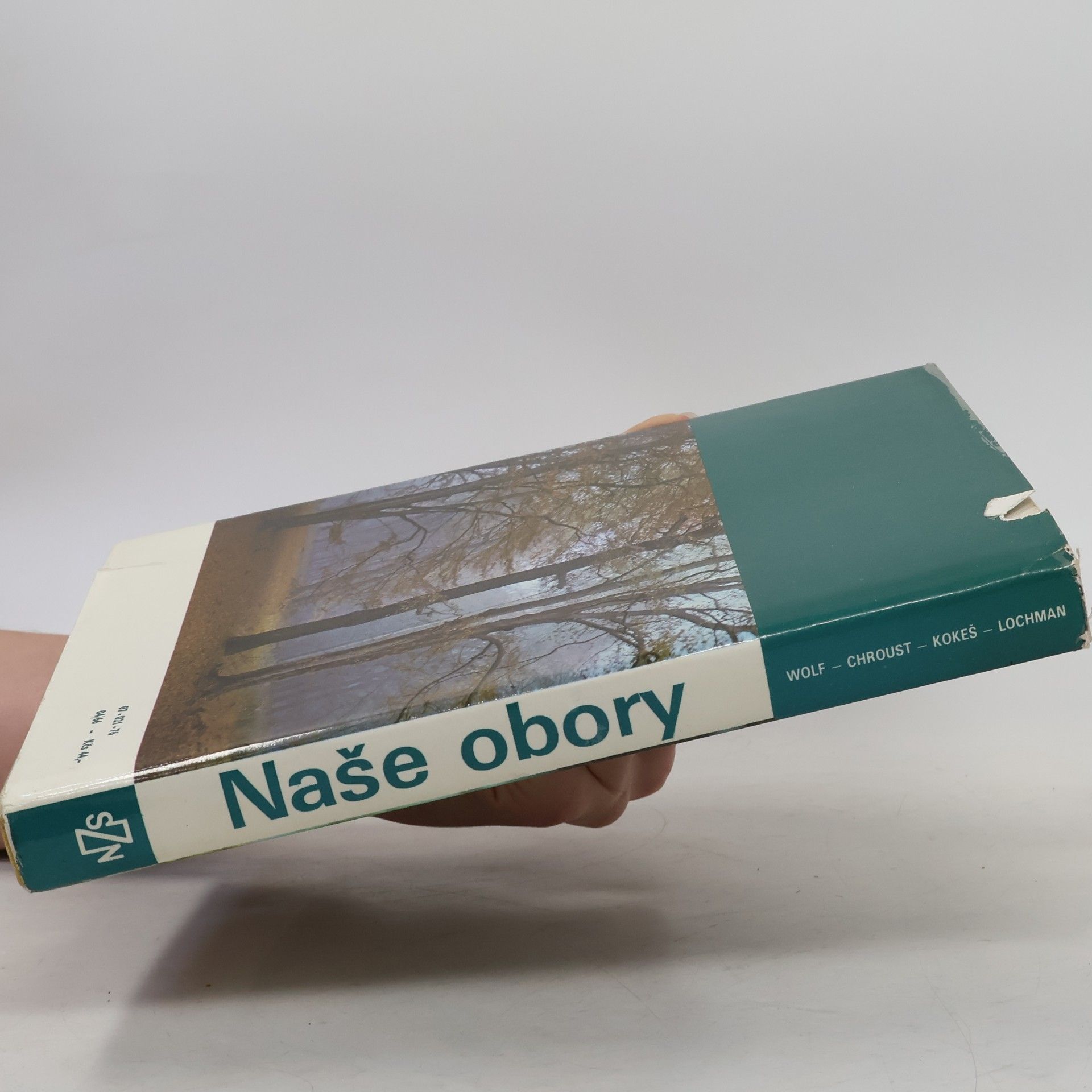 Robert Wolf Naše obory