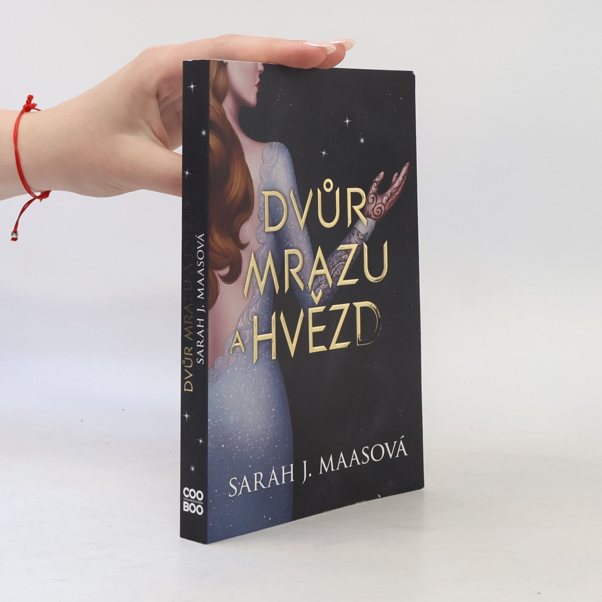 Sarah J. Maas Dvůr mrazu a hvězd